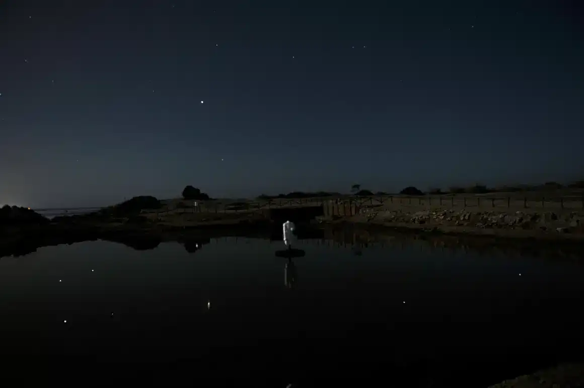 the-night-sky-over-motya-mirrors-ancient-celestial-alignments-e3b8e29f3d7633d63d0fd22fbd416375.webp