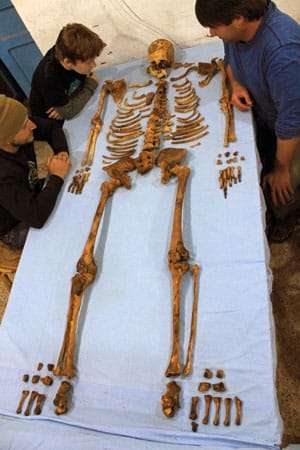 Skeleton-web-cf8f4755eaf3c3d8b530d1c7cd2281ba.jpg