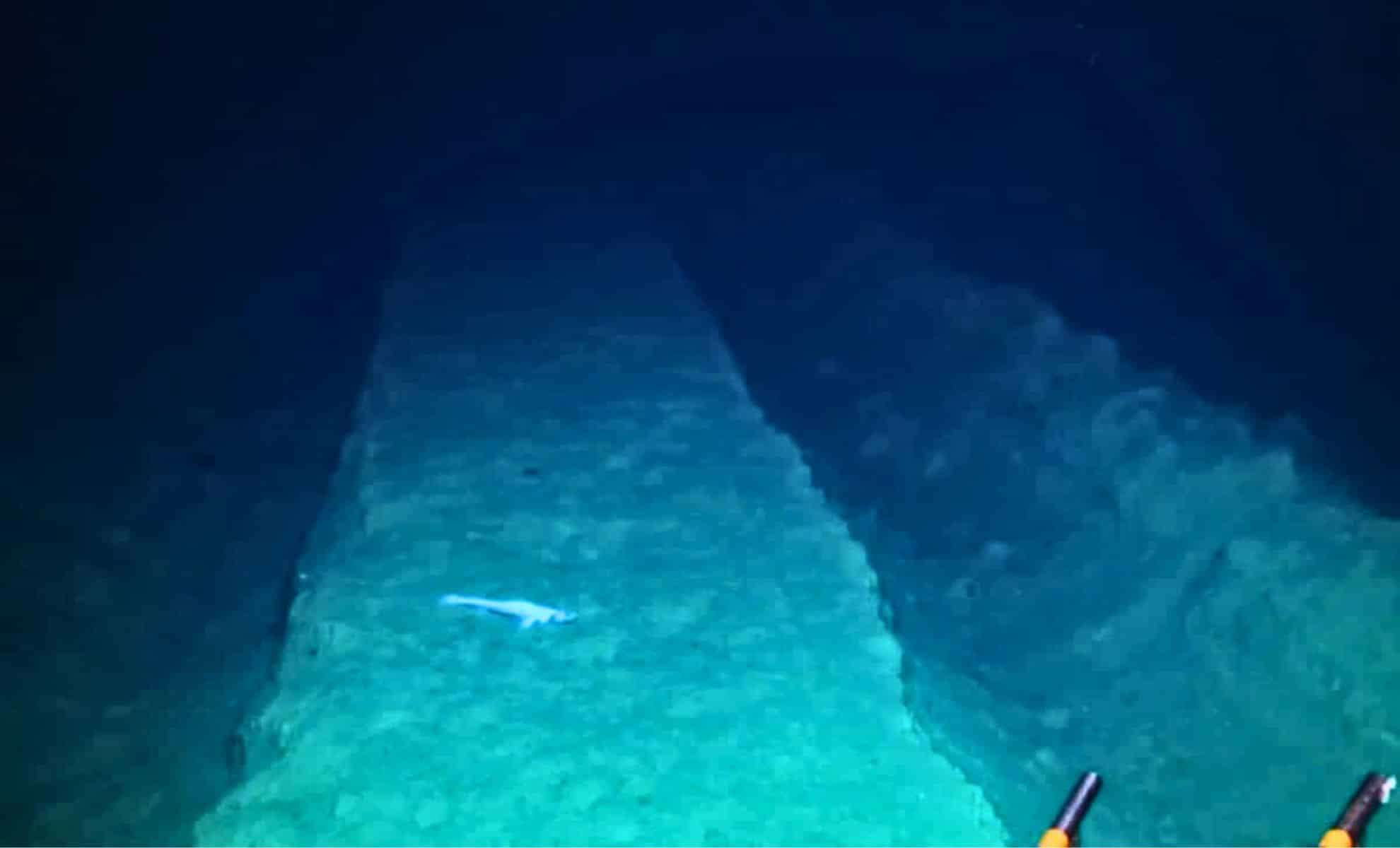 Four Decades On, 1979 Deep-Sea Mining Trial Leaves Lasting Impact on Pacific Ocean Floor 