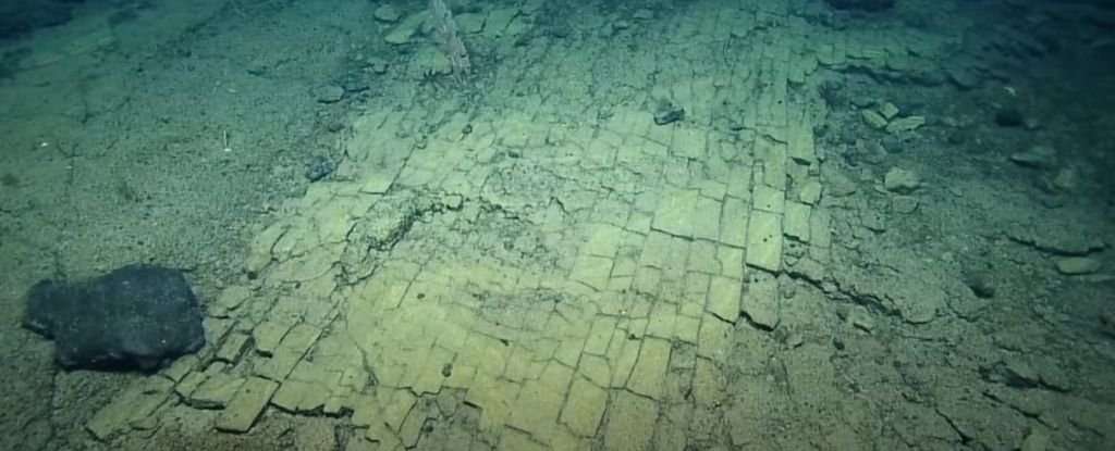YellowBrickRoadSeenByNautilus-de07a5fca88c496ba39ae4ea6ff8f7b8.jpeg