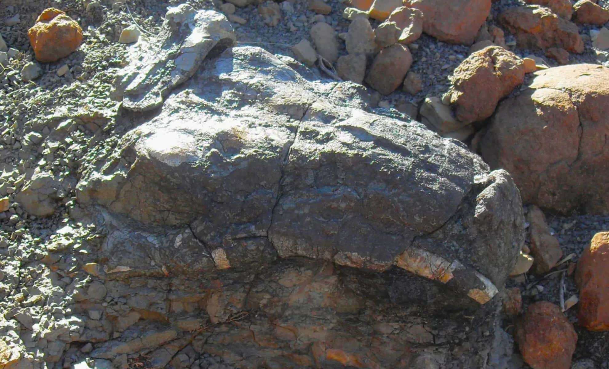 Ancient South African Rock Art May Depict an Extinct Prehistoric Creature 