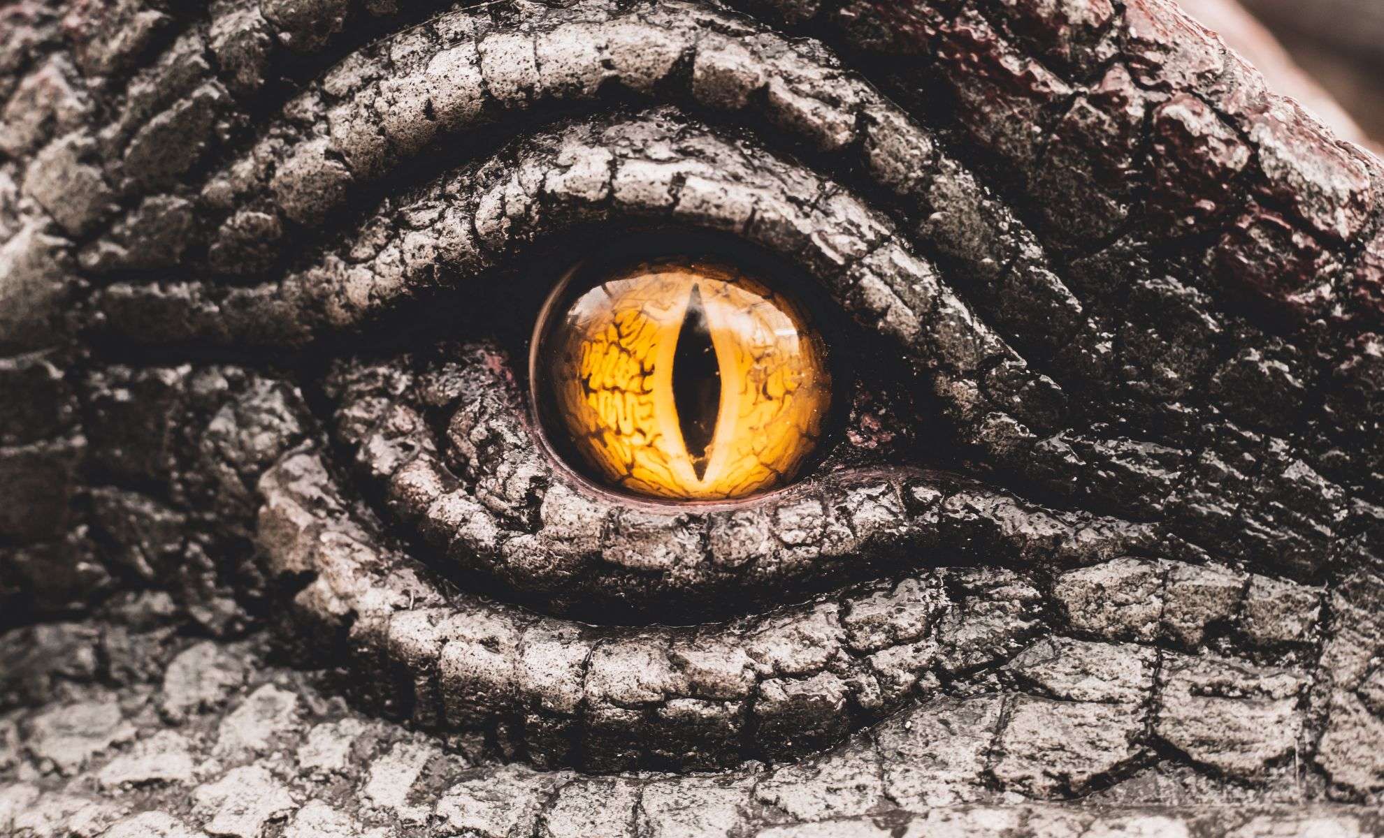 Woman’s Rare Brain Disorder Transforms Faces Into Dragons 