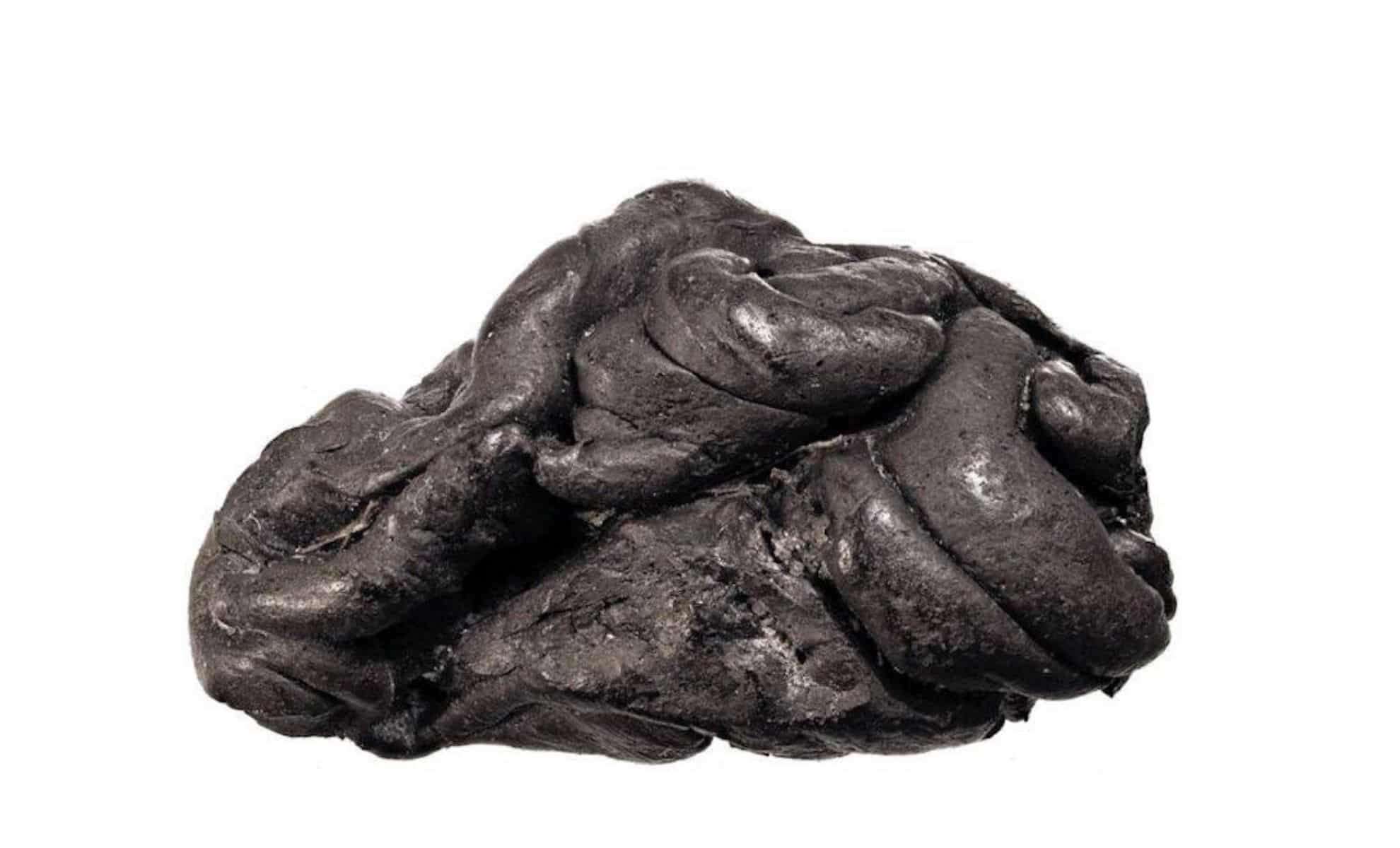 Ancient Chewing Gum Reveals the Complete Genome of a 6,000-Year-Old Woman 