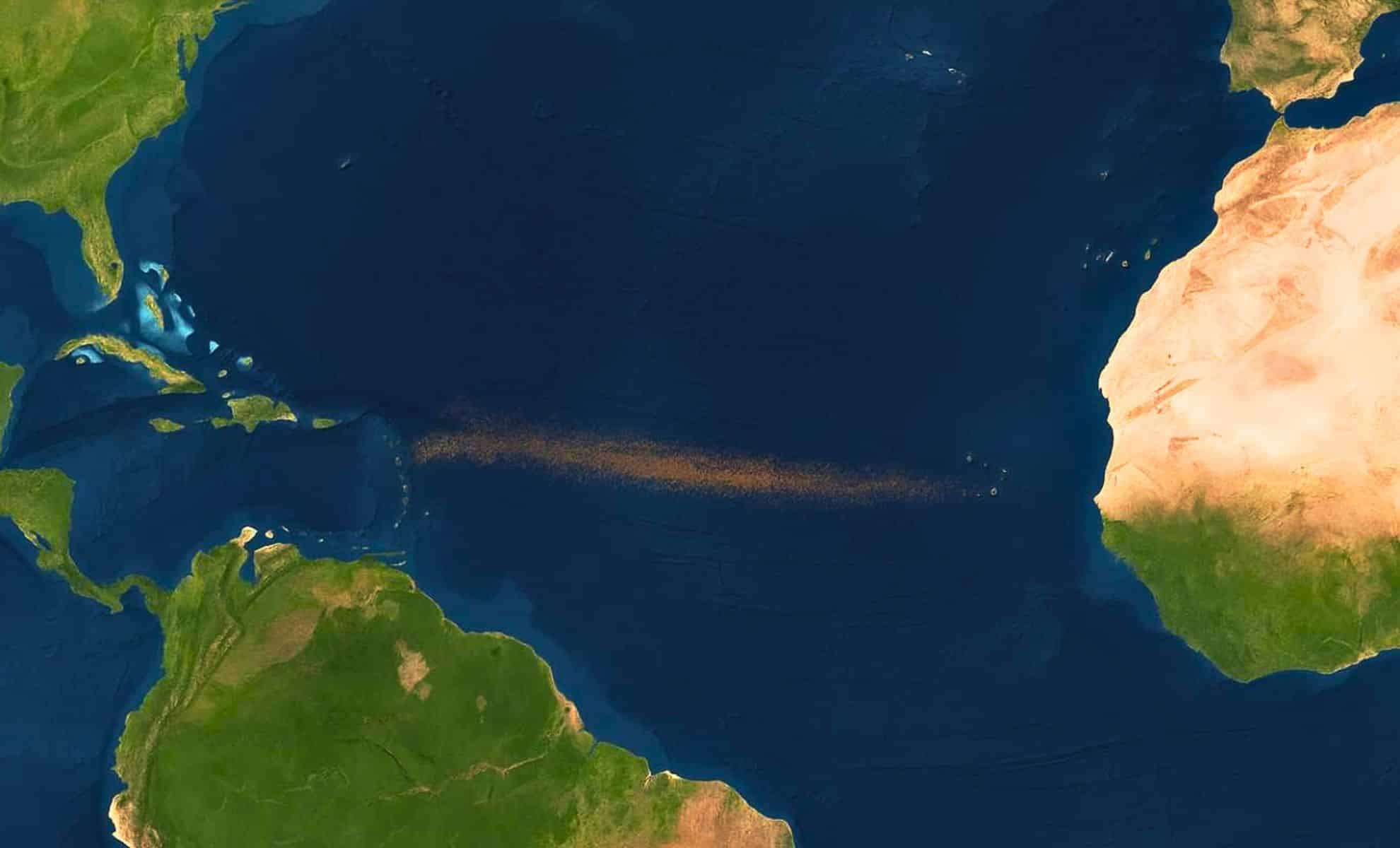 A Vast Brown Algal Belt Stretches Across the Atlantic, Alarming Scientists 