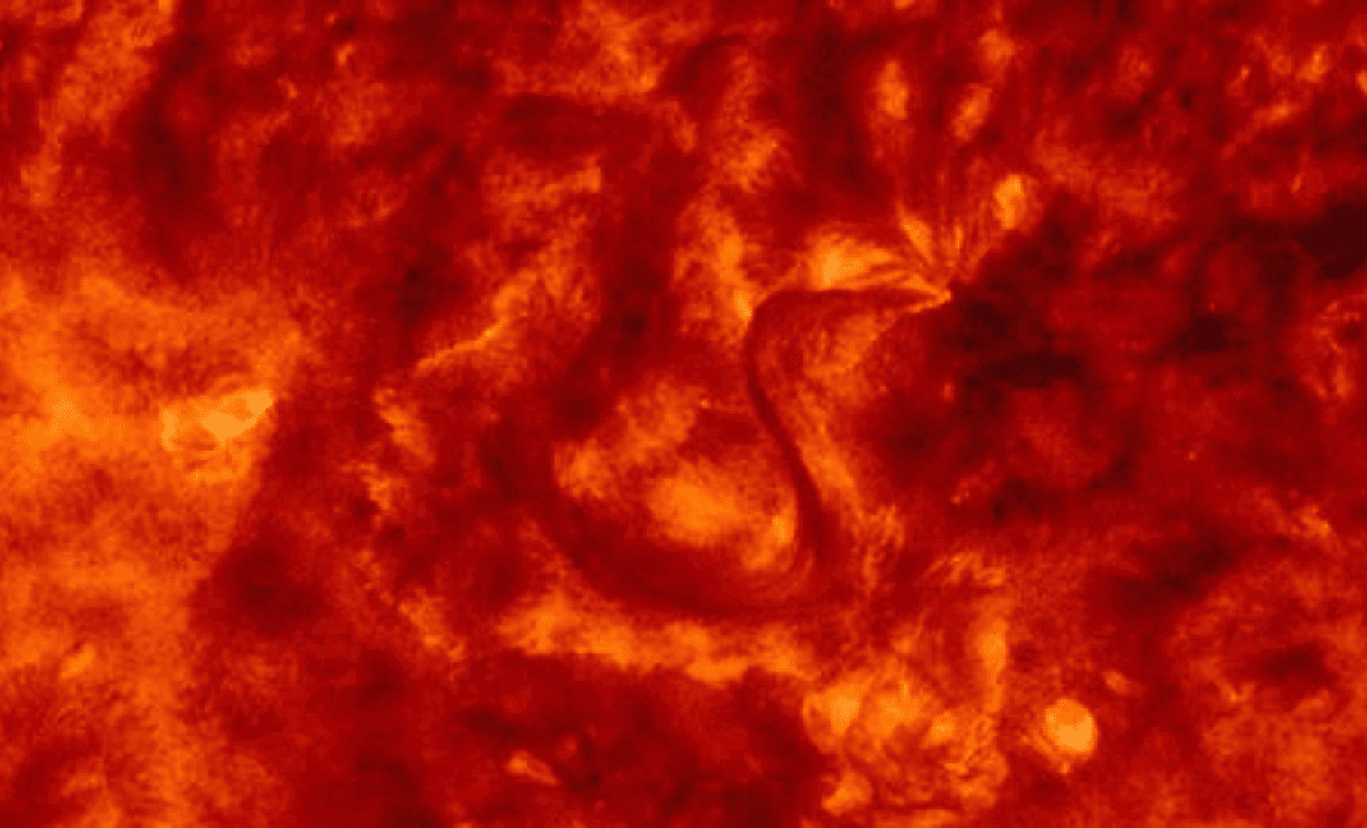 Mysterious ‘S’ Shape Emerges on the Sun Ahead of a Major Solar Storm Impacting Earth 