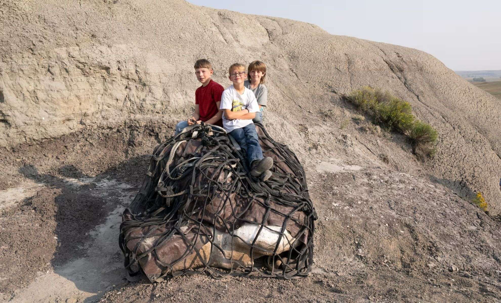 Three Kids Unearth a Remarkable Juvenile Tyrannosaurus Rex Fossil 
