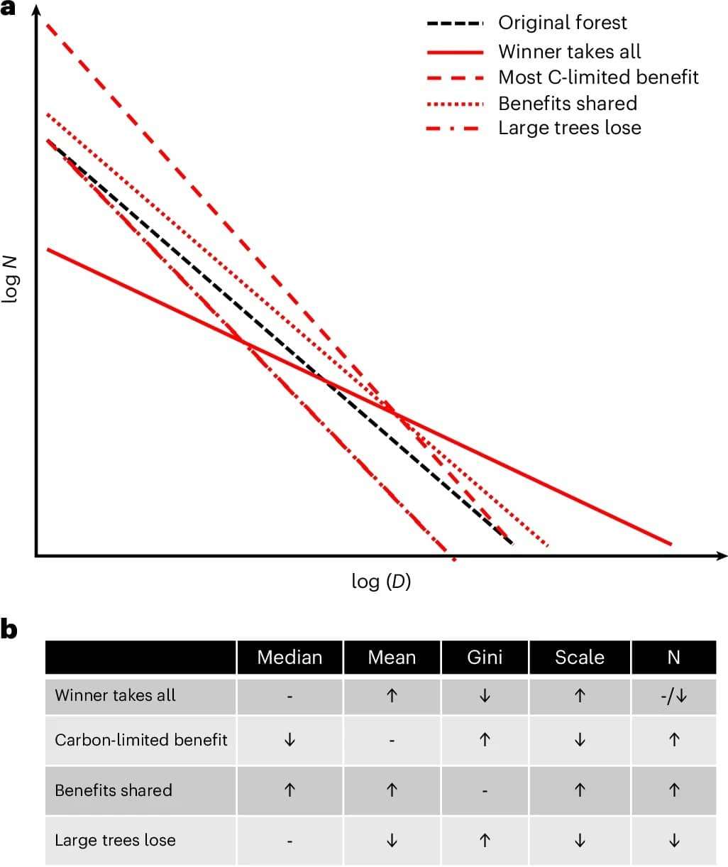 Potential-impacts-of-growth-stimulation-and-climate-change-on-forest-structure-86f1a59be318f1a474f37758f921c28b.jpeg