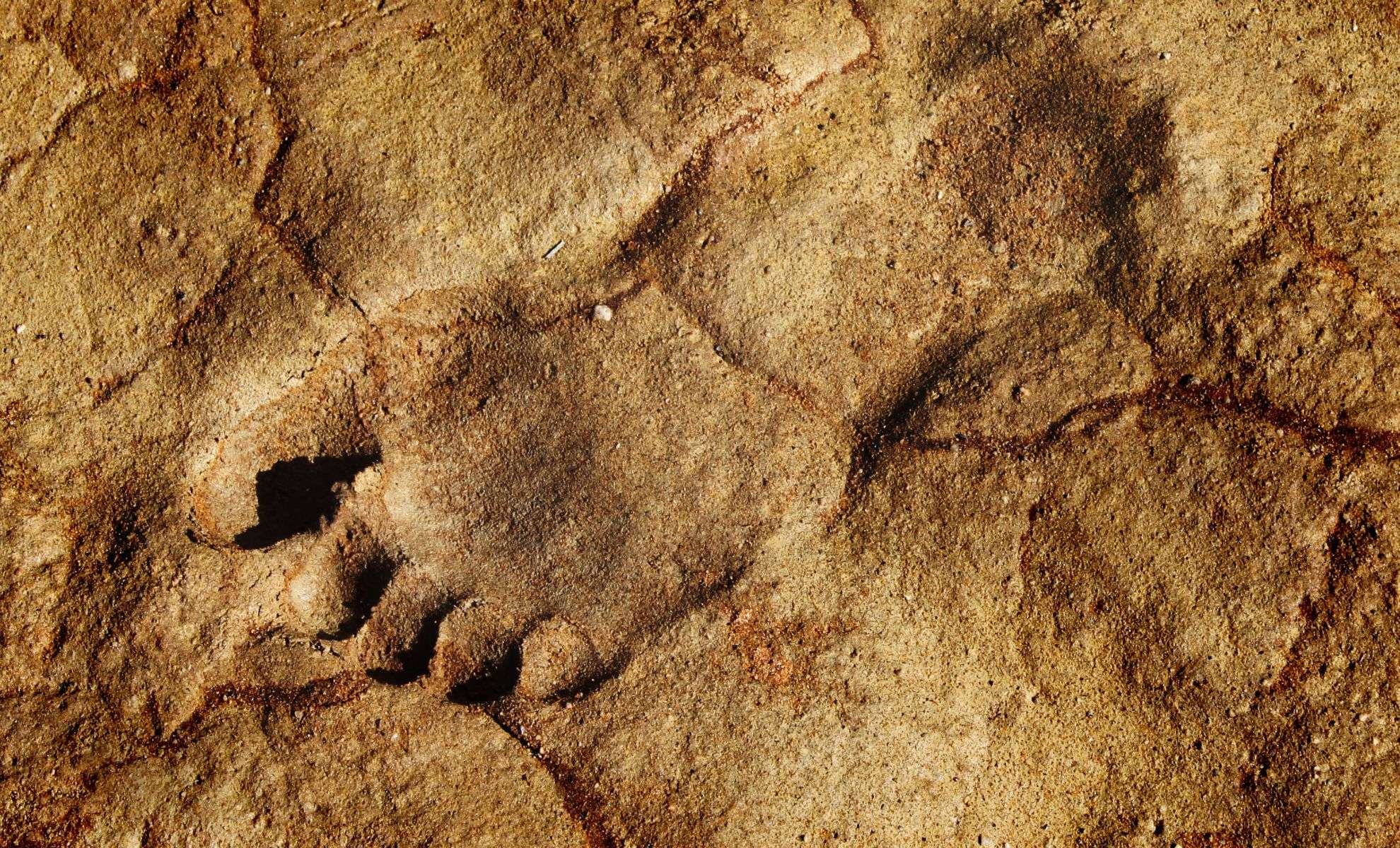 300,000-Year-Old Footprints in Germany Reveal Intimate Glimpse of Prehistoric Family Life 