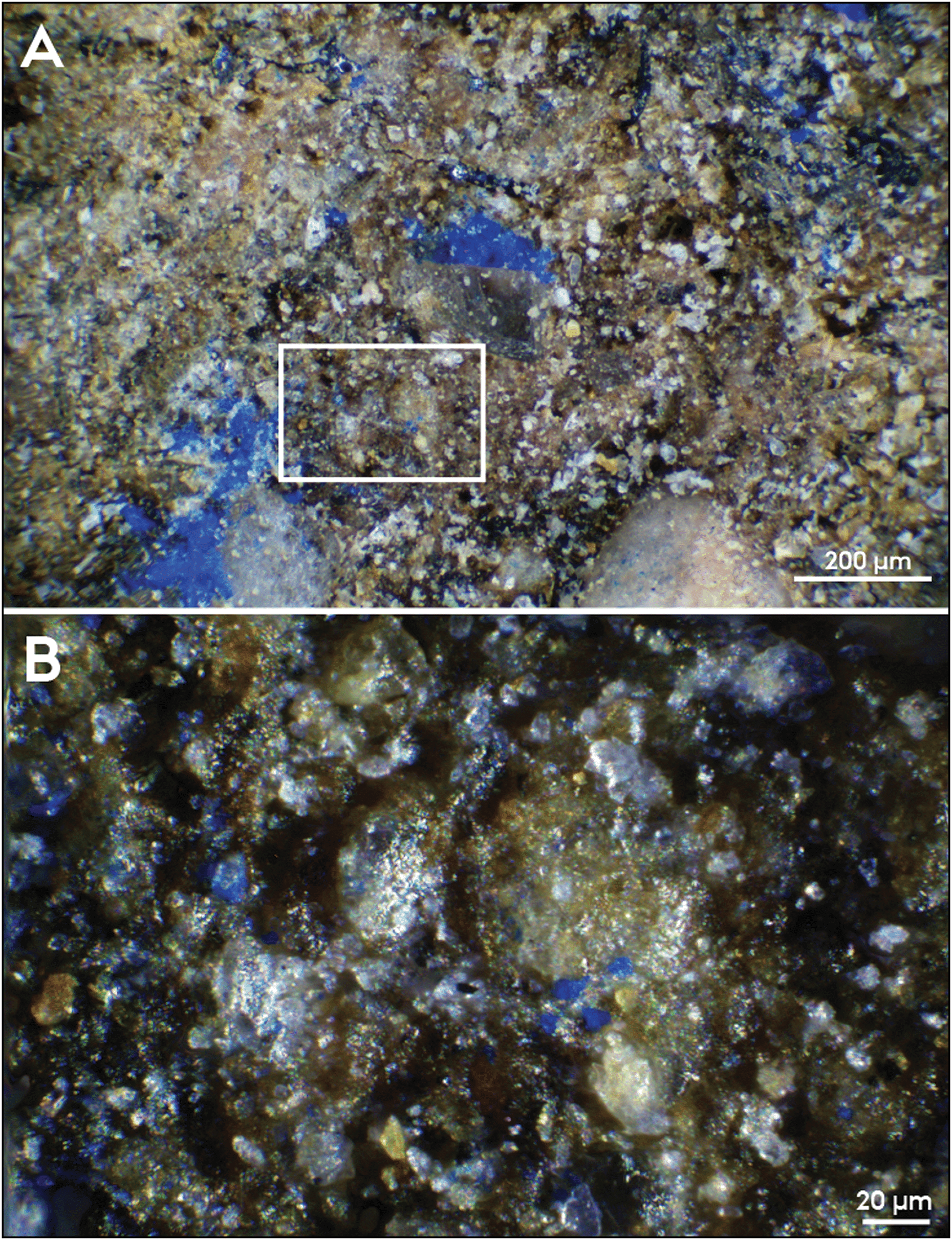 Microscopic-view-of-nano-sized-particles-of-blue-pigment-residue-f917c618ab6af0c2cc732c844ab8d49c.png