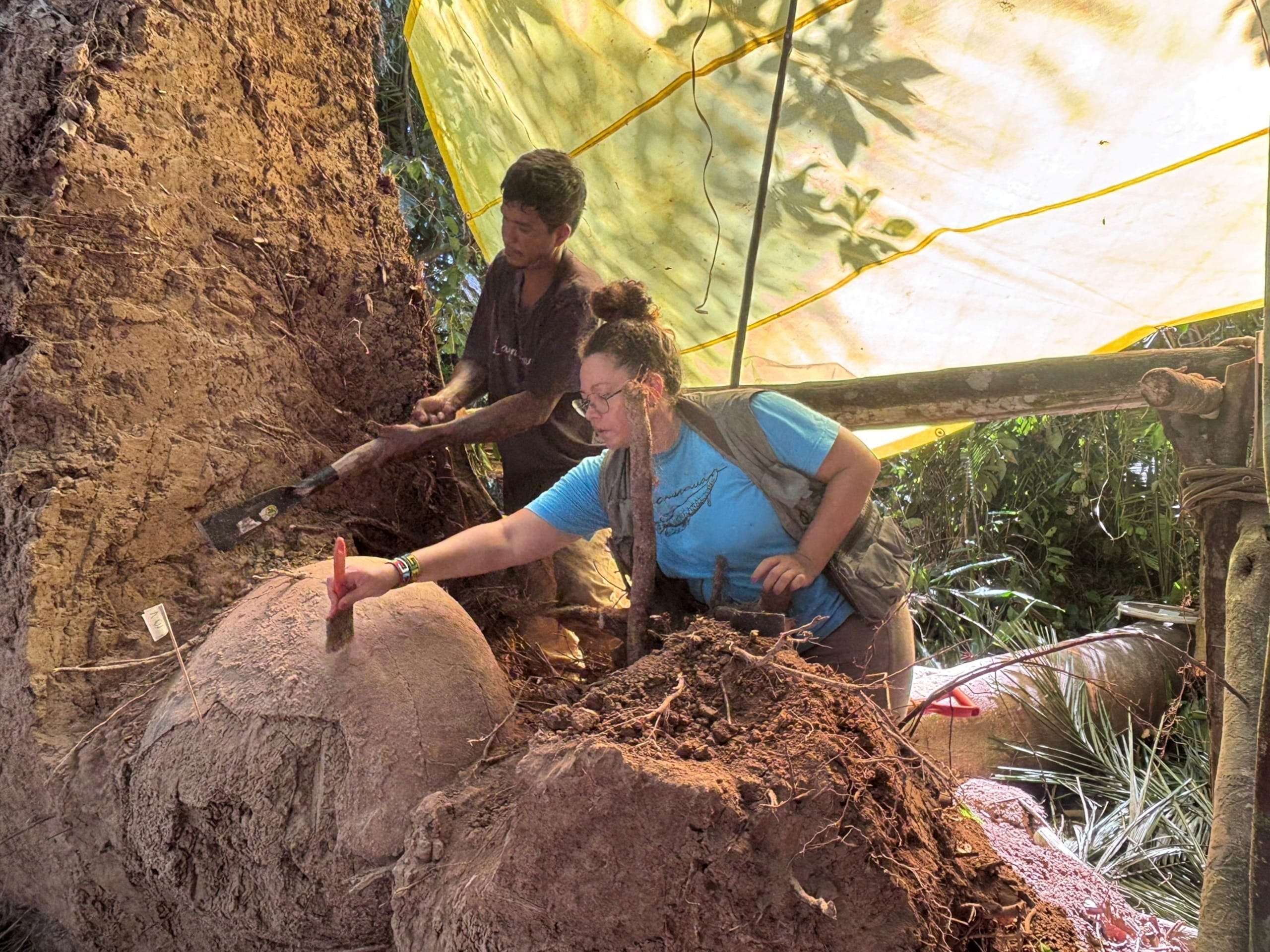 archaeologists-found-strange-prehistoric-spheres-in-the-amazon-inside-were-bones-that-dont-belong-together-501990378a320061f6cf499e3859ee24.jpeg
