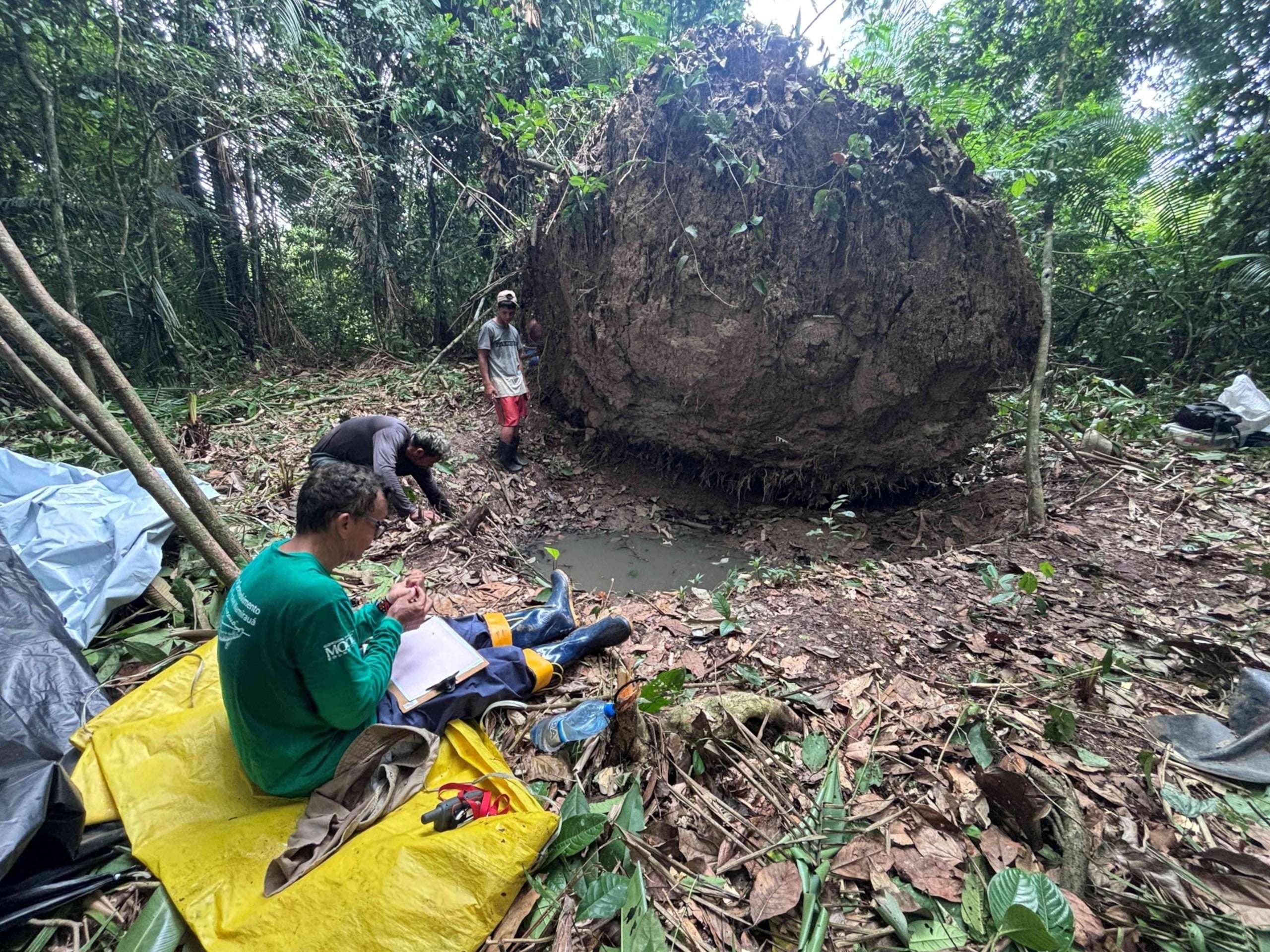 archaeologists-found-strange-prehistoric-spheres-in-the-amazon-inside-were-bones-that-dont-belong-together-f555dd30937e16691c24ce66065eaed9.jpeg