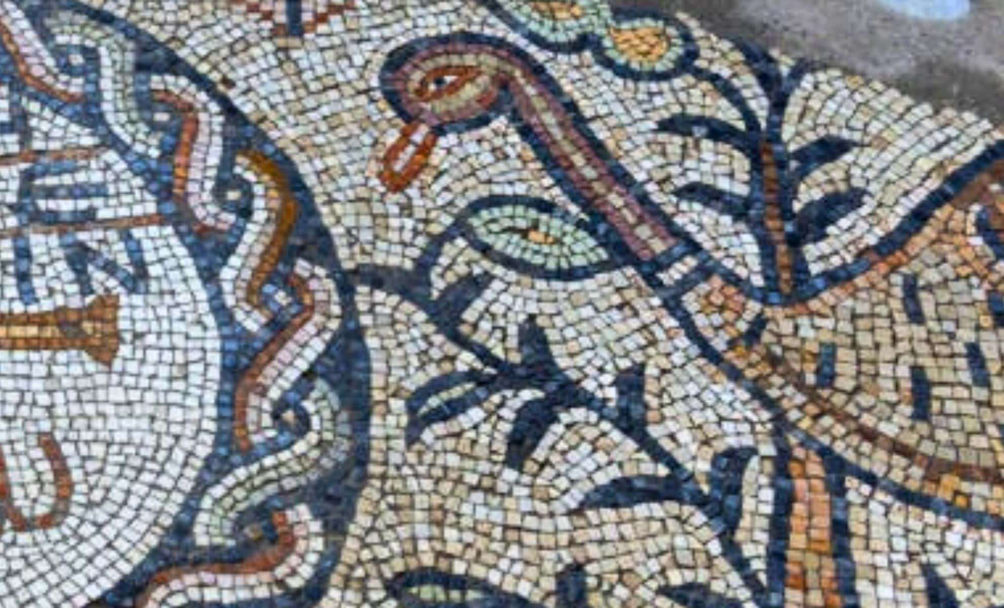 Discovery of Ancient Mosaic Points to Earliest Known Elder Care Facility 