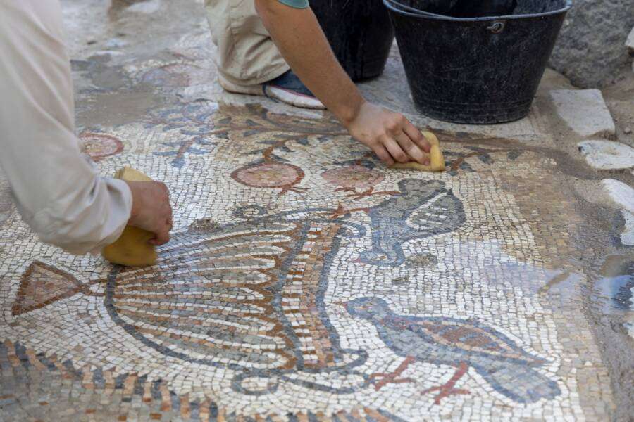 archaeologists-cleaning-the-mosaic-ea296852a478b89db277f081ad0f1d4d.jpg