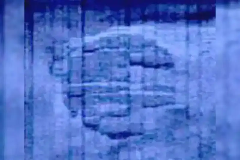 the-original-baltic-sea-anomaly-sonar-image-captured-by-ocean-x-00f033260b88cdedee5b26228edd8707.webp