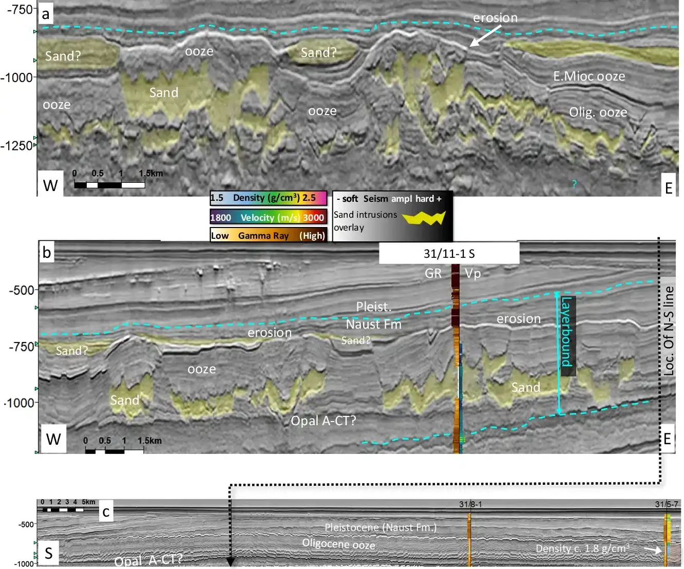 Documentation-of-large-Oligo-Miocene-mounds-671e407c6c4ad787299e94910b716496.webp