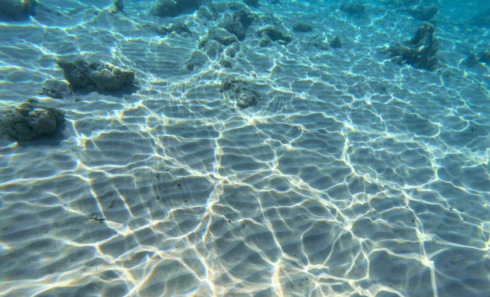 Striking Upside-Down Sand Formations Discovered Beneath the North Sea 