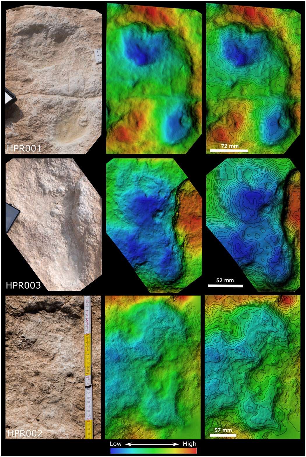 Digital-surface-models-of-three-specific-hominin-footprints-84740e9cf895dfe90088b1dc974fa62b.jpeg