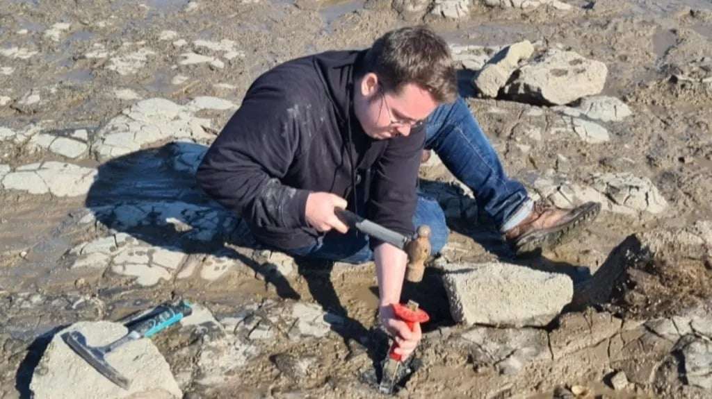 Owain-Evans-say-the-dinosaur-was-likely-a-large-carnivorous-predator-b046ee39061e1bca2d1740bf955223d1.jpeg