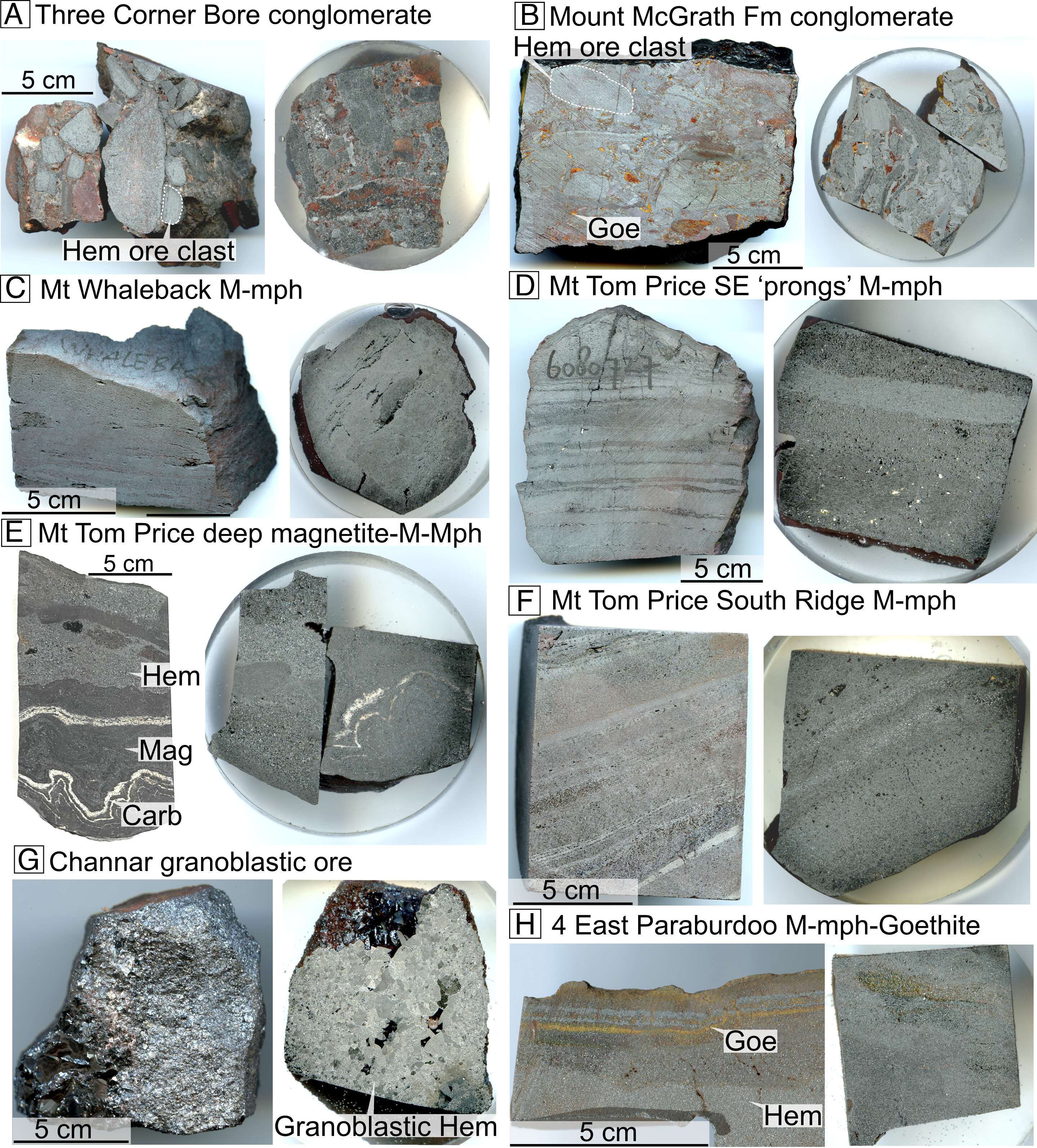 pnas.2405741121fig02-1-e63898c7465b55c905b5aea0e992ac6f.jpg