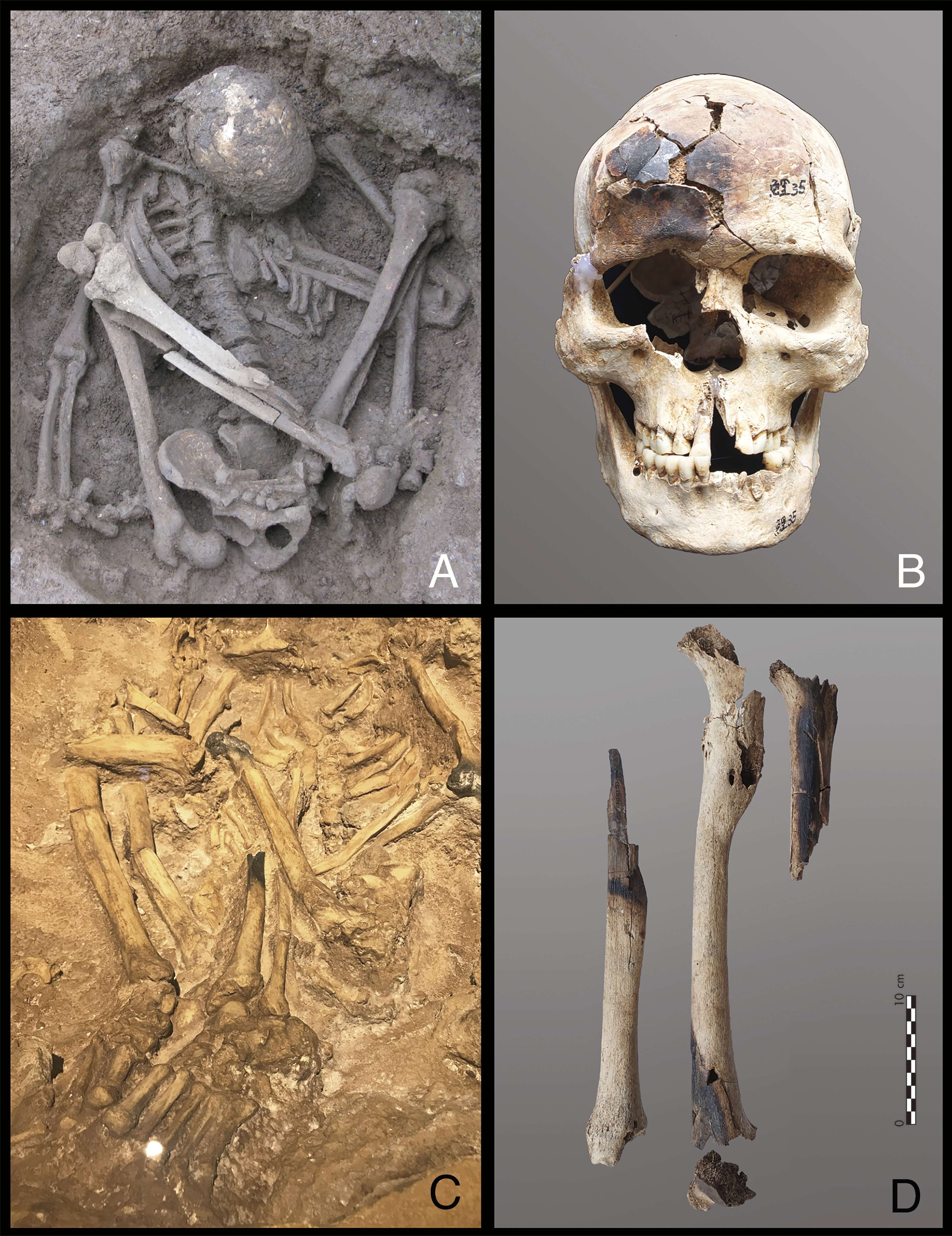 Examples-of-hyper-flexed-burials-with-partially-burned-bones-from-southern-China-and-Indonesia-f05d313c8193783cf136eb081ca9144c.jpg