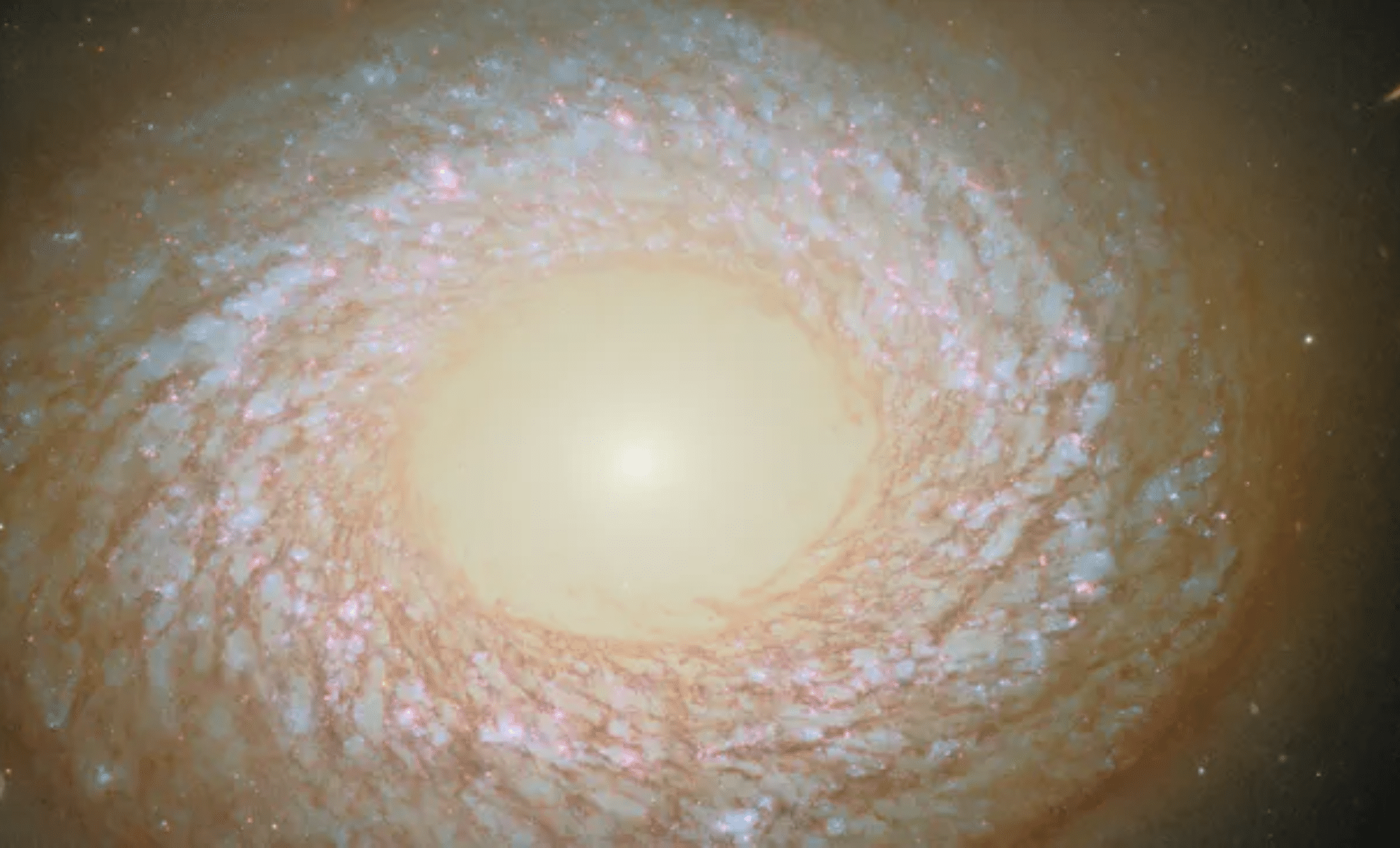 Hubble Uncovers Galaxy With Unique Form That Challenges Galactic Models 