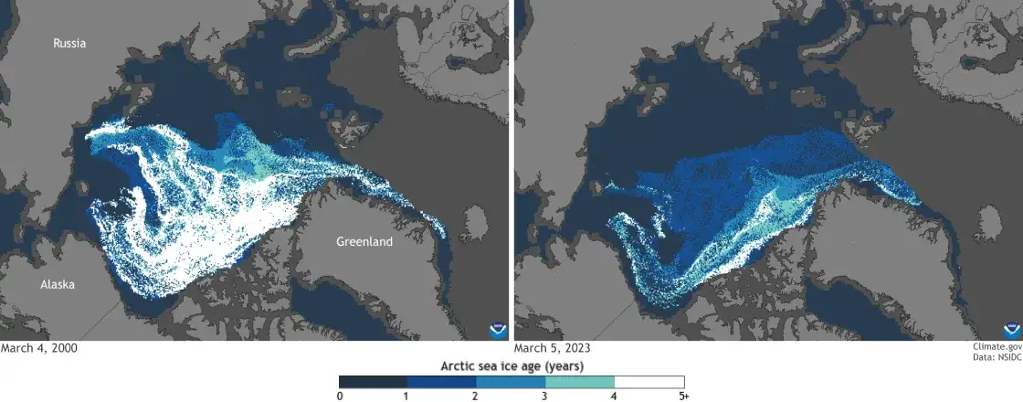 data-weekly-SeaIceAge-Mar-04-2000-Mar-05-2023-ClimateGov_1.png-10ba71a397e5899040375b0a6208919b.webp