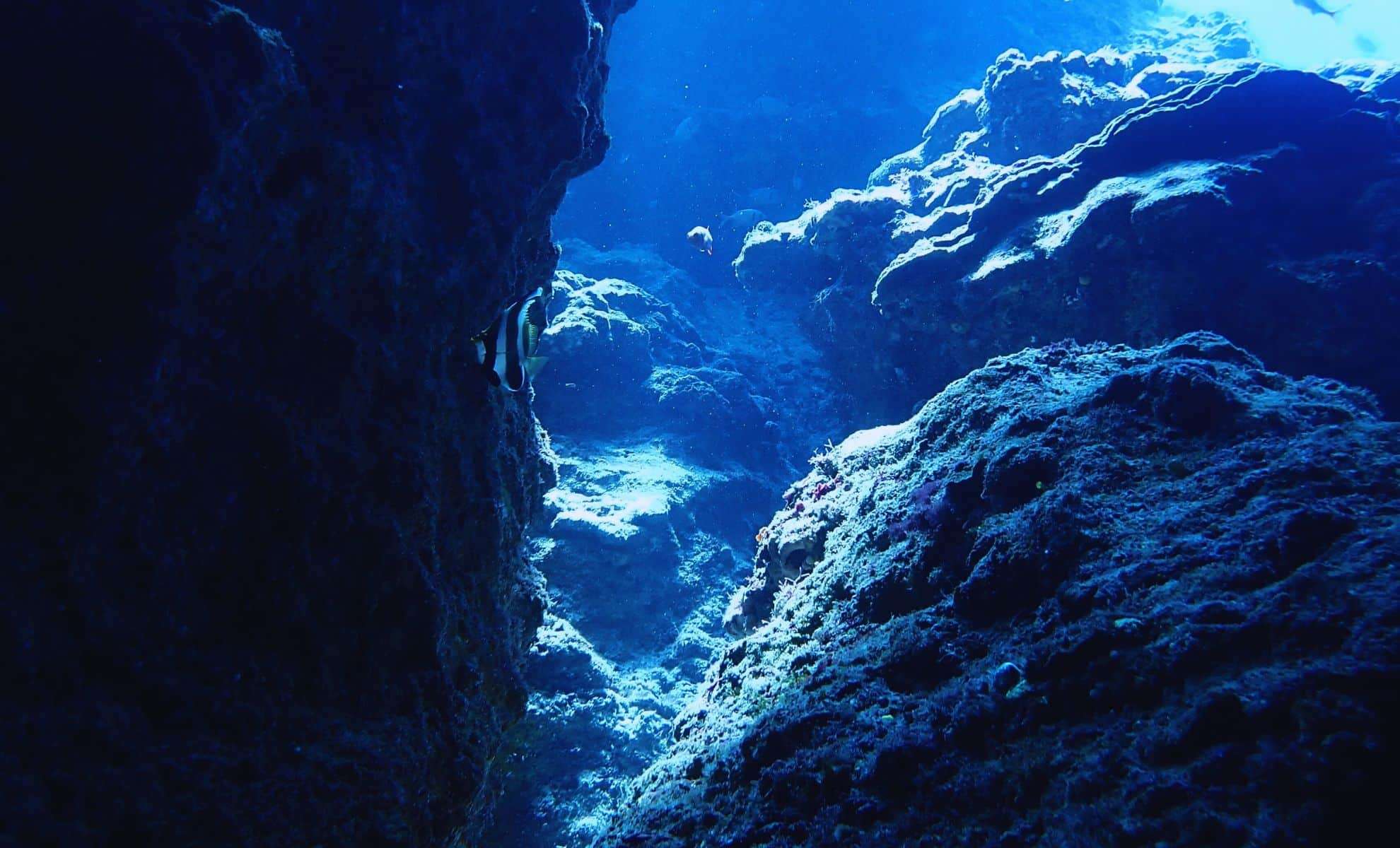 Ancient Island Reappears Beneath the Atlantic After Millions of Years, Sparking Interest and Debate 