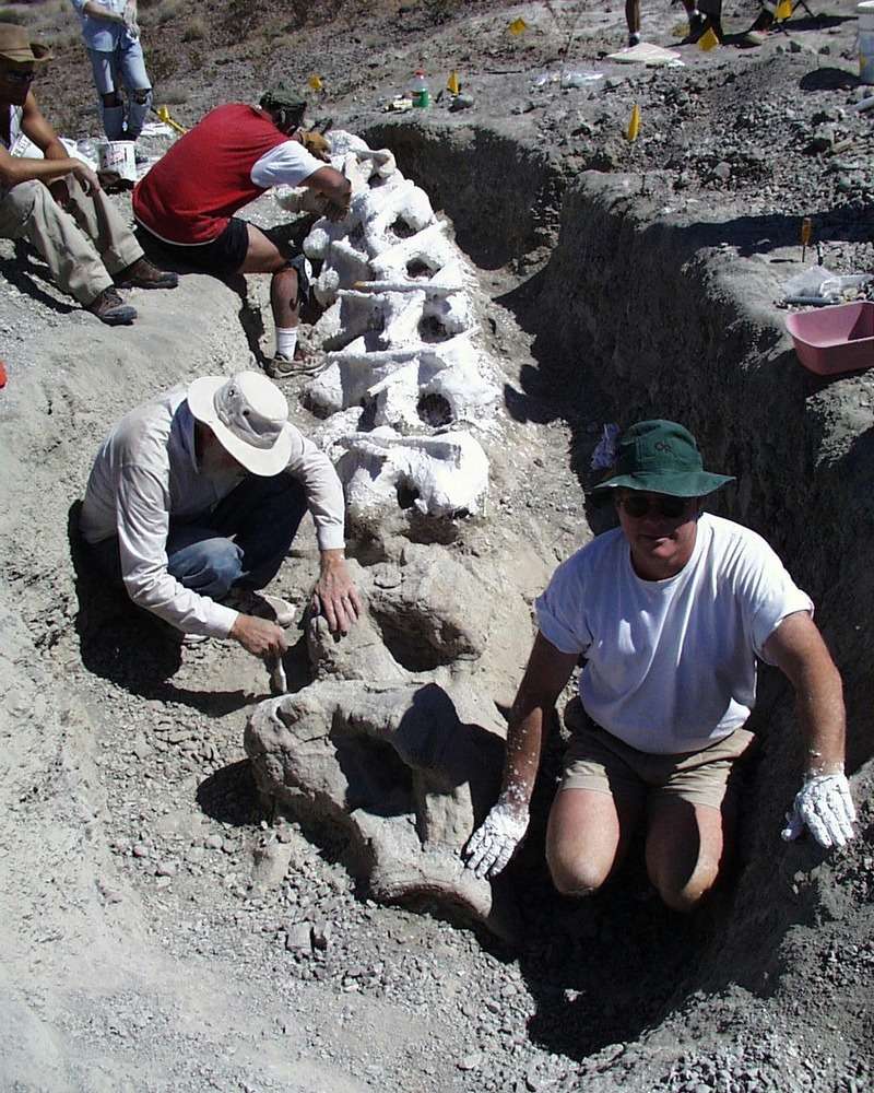 Preliminary-Excavations-in-1999-84ae0d96dde404f67b57f57b8615a704.jpg
