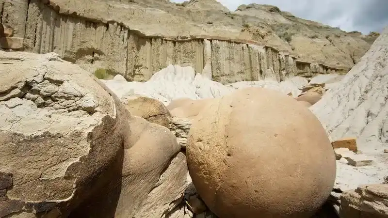 cannonball-concretion-pullout-55f6555181d0a5966ab4fe3181d27fc9.webp