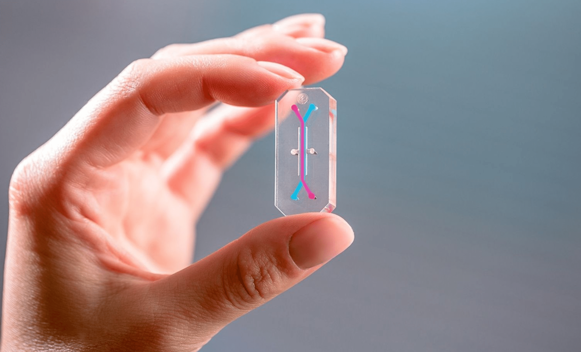 NASA’s AVATAR Initiative Poised to Transform Space Medicine and Astronaut Care 