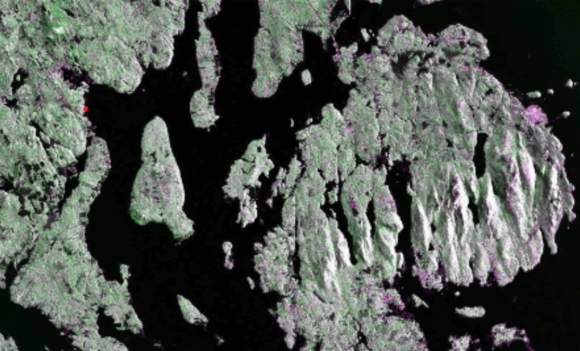 NASA and ISRO's Radar Satellite Returns Its First Striking Earth Images 