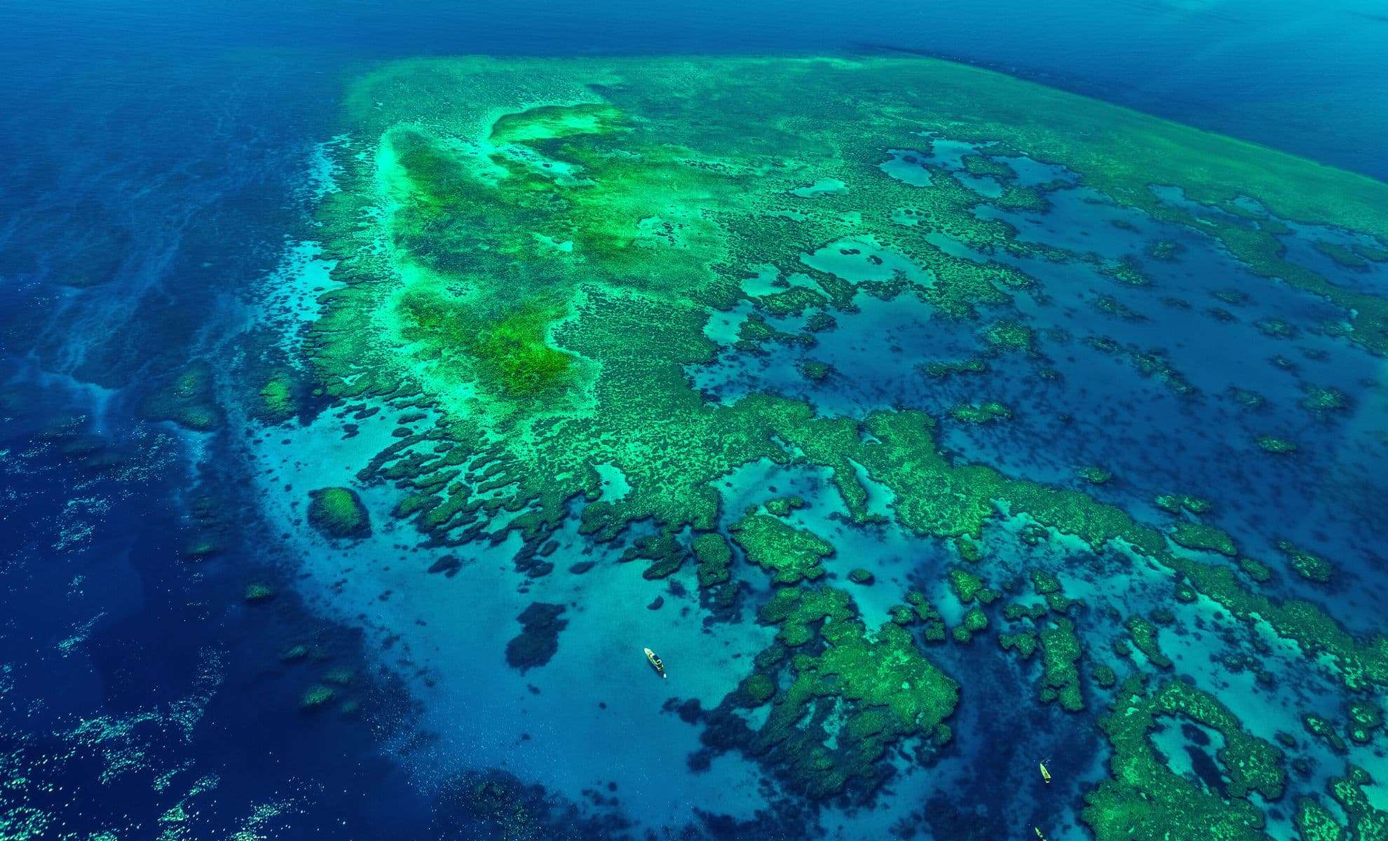 NASA Satellites Detect Enormous 500-Mile Bioluminescent Bloom Along Australia’s Coastline 