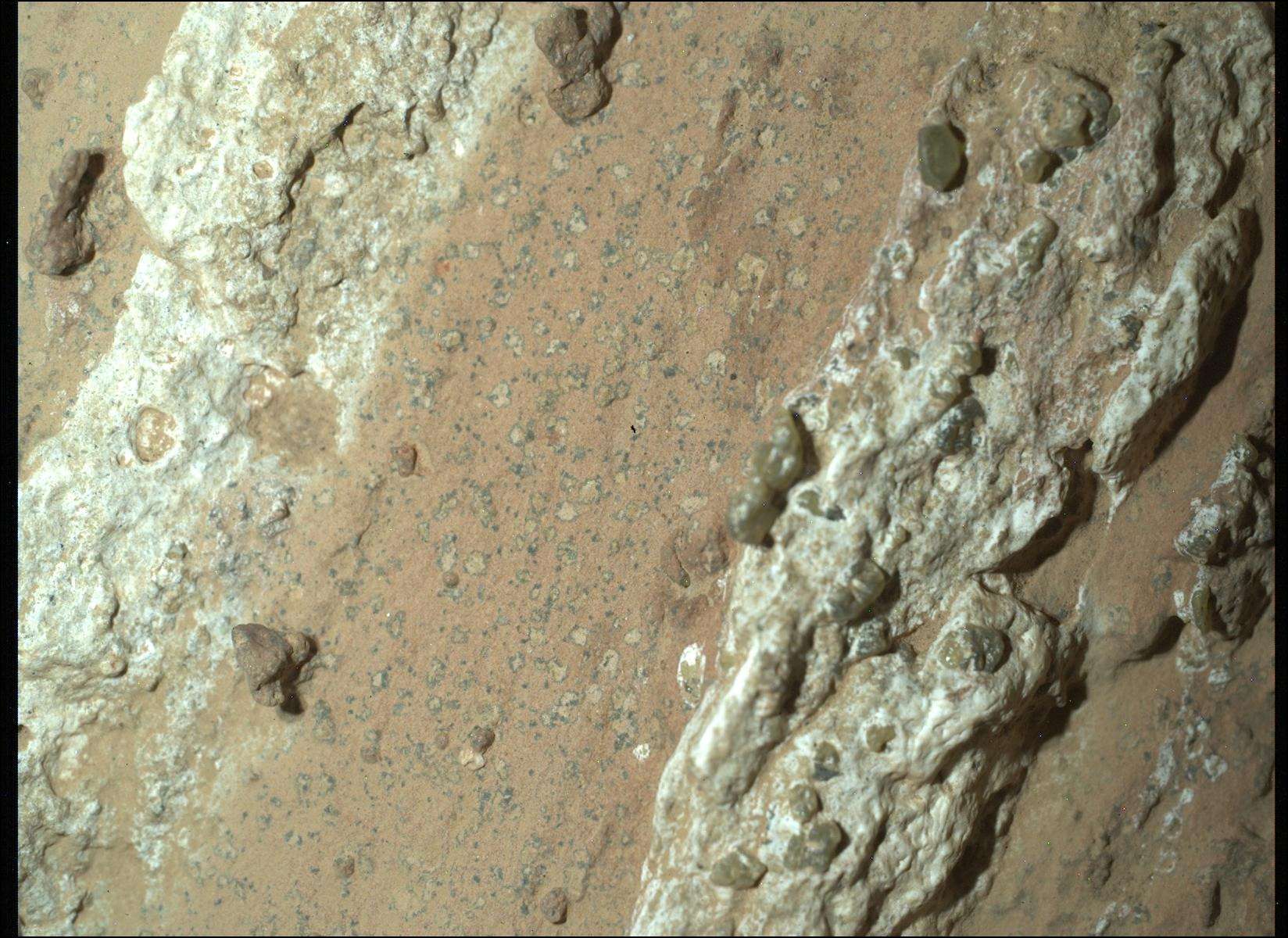nasas-perseverance-rover-discovers-potential-sign-of-ancient-life-on-mars-cd0791e65f2ec25b79020f02abdcc6a2.jpeg