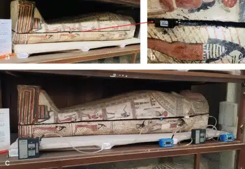 Coffin-with-a-mummified-body-d6088bf77b4b1a8466c3b6238b56647c.webp
