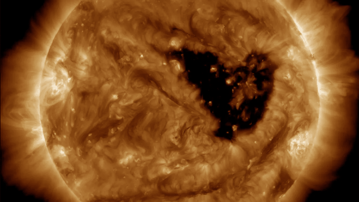 image-45-b3d20a345e1c87861abe22807dc049c5.png