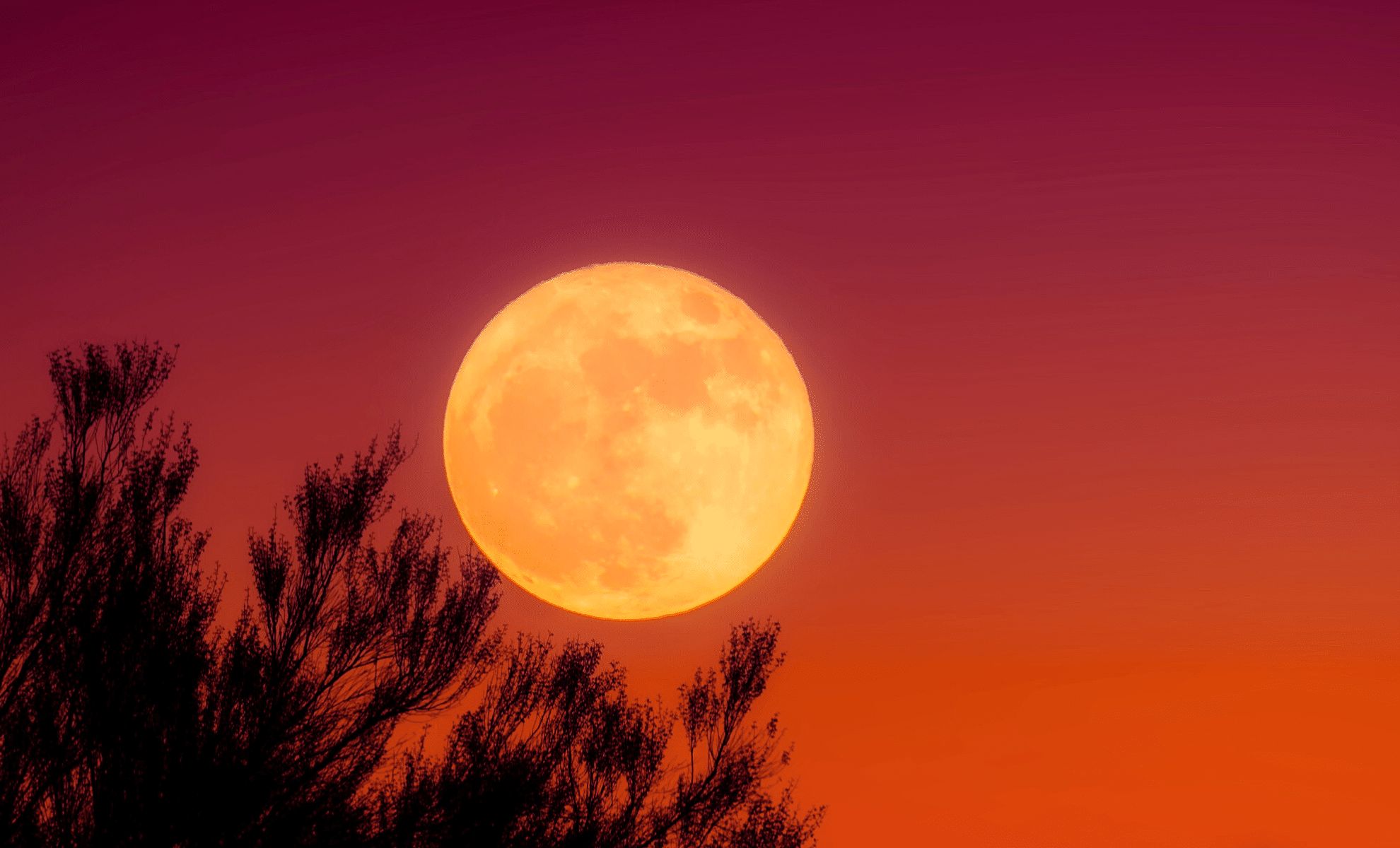 Harvest-supermoon-ef8b60a0659dcecc502711014778aab7.png
