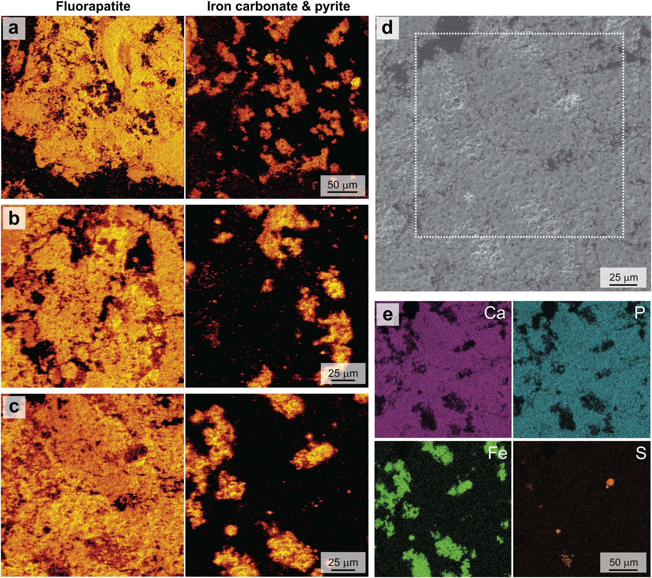 Credit-geobiology-1-a481cd931628ff32bb88508b32436379.jpg
