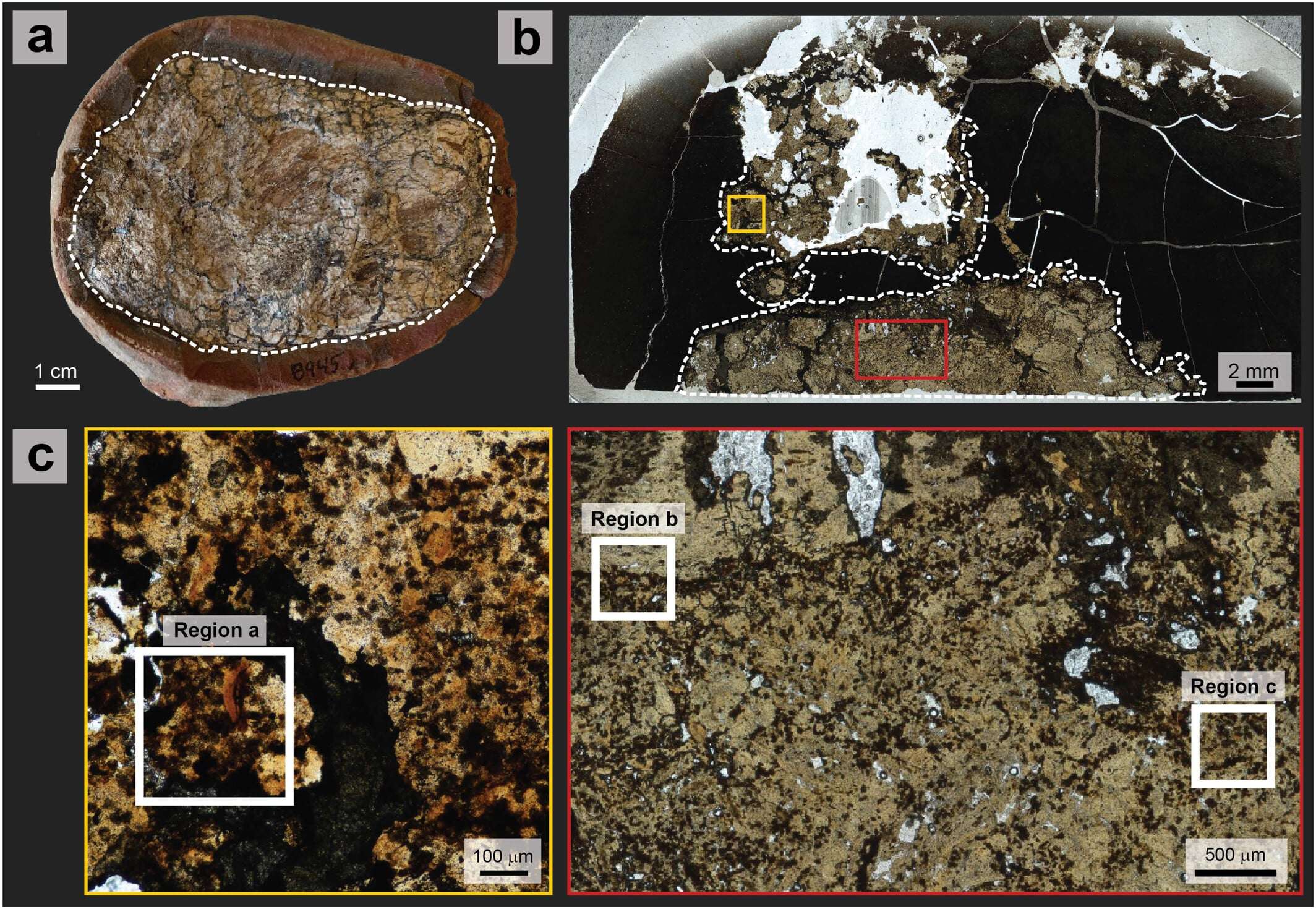 Credit-geobiology-ba53c134a5525243048593d49960e4e6.jpg