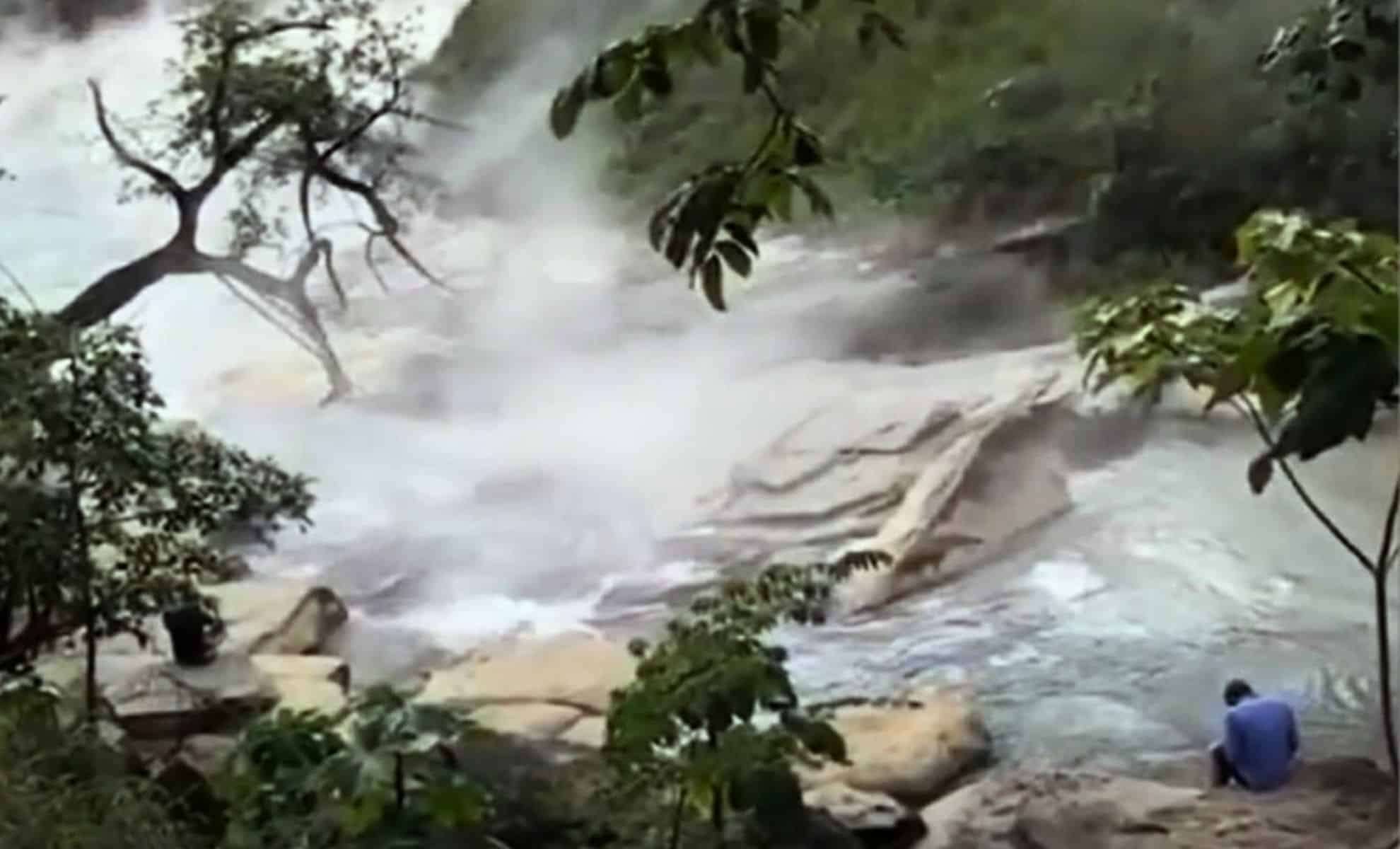 Amazon’s Boiling River Reaches Nearly 100°C, Threatening Local Wildlife with Lethal Heat 