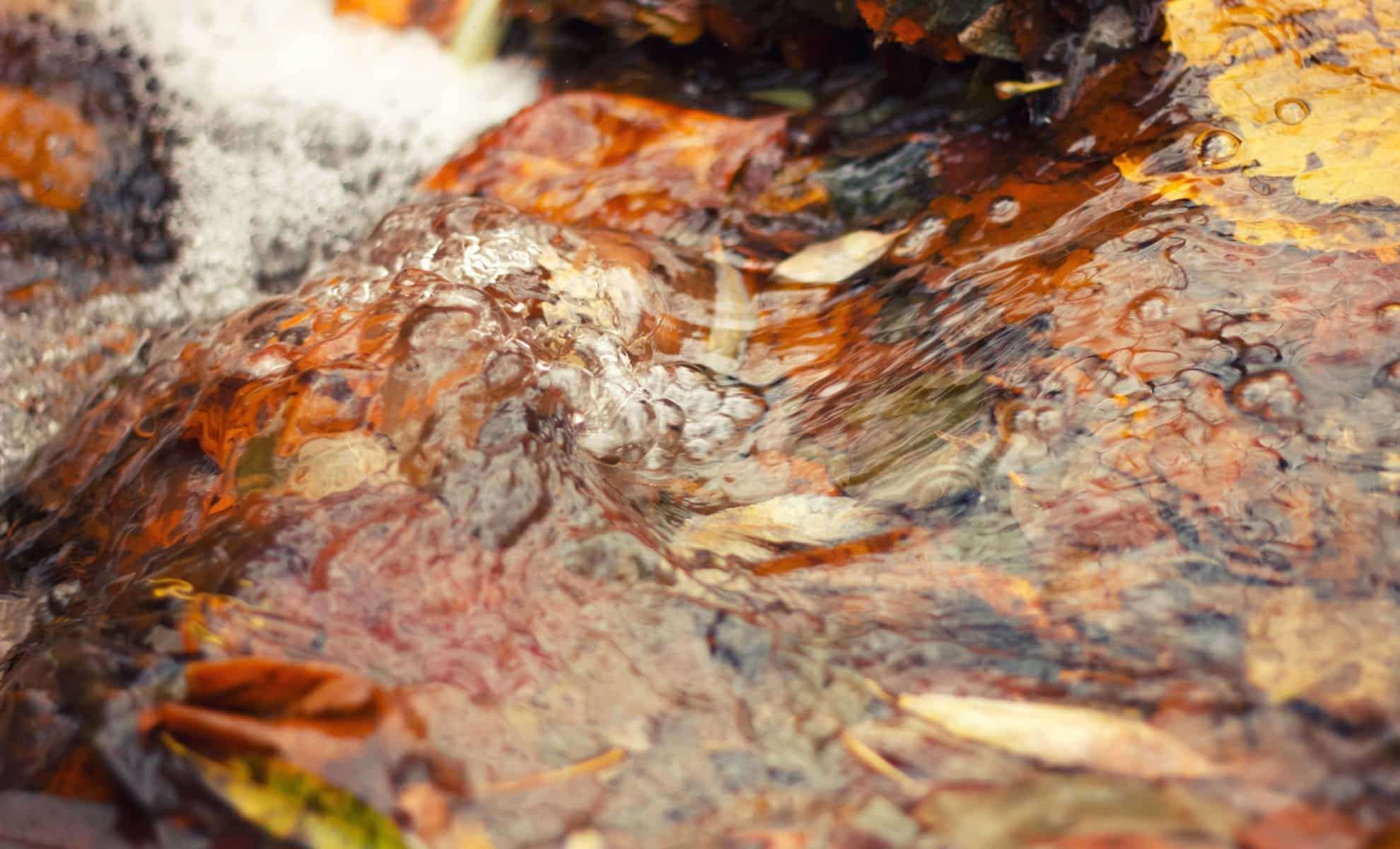 What’s Causing Alaska’s Rivers to Turn Vibrant Orange? 