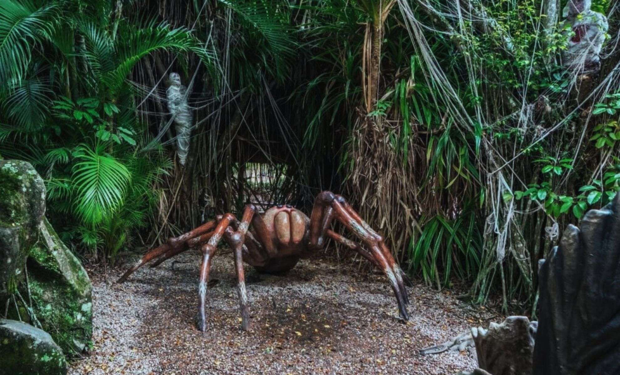 Ancient Giant Spider Unearthed in Australia Redefines Fossil Discoveries 