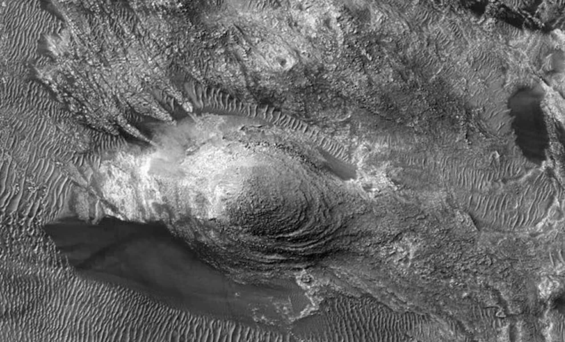 parrot-mars-ce7b672fc64ea6b574f58e6ff8f03622.jpg