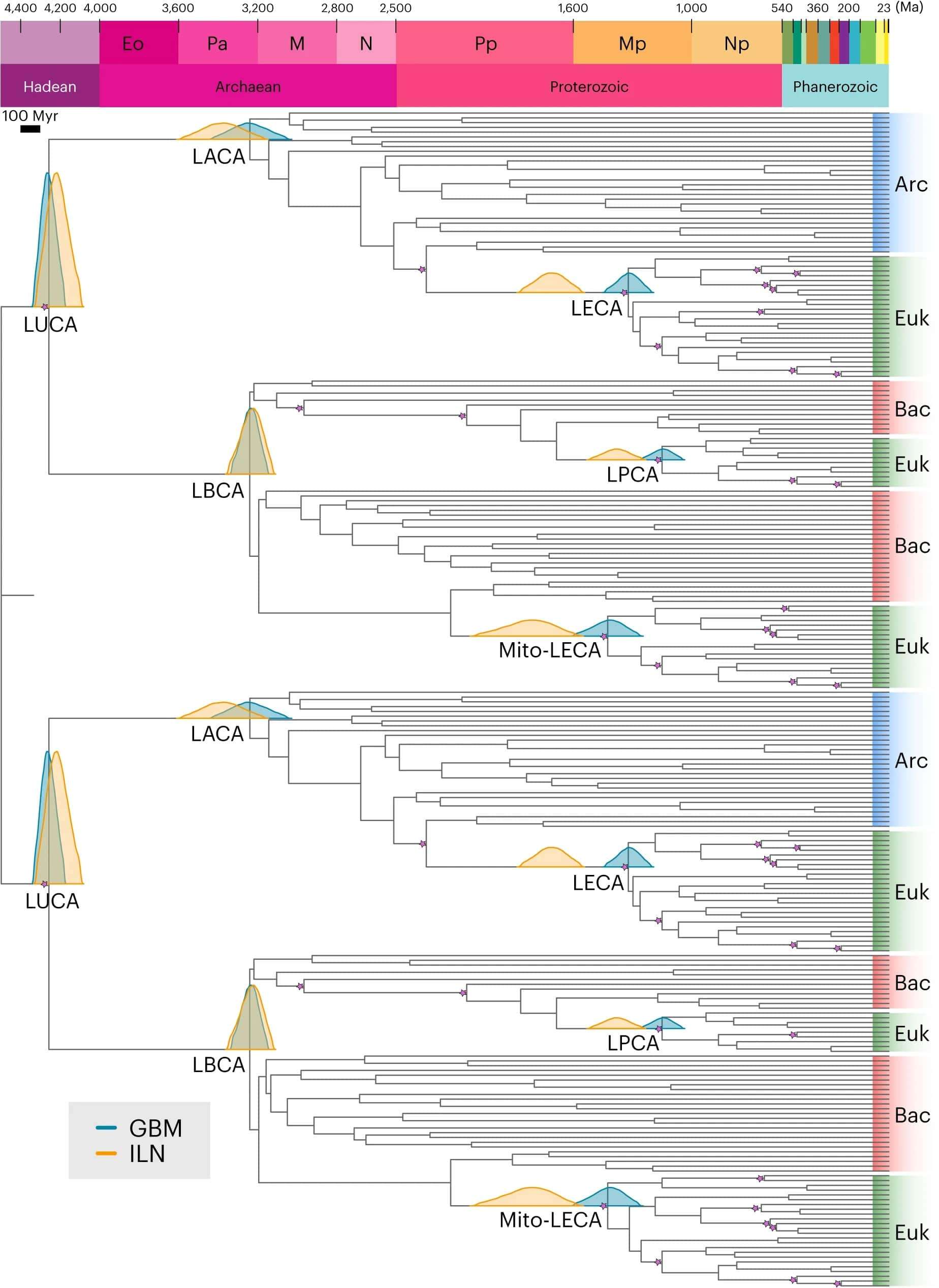 scientists-revealed-common-ancestor-single-primitive-being-17724854d3475a4bbcf85c9227a1f9e6.jpeg