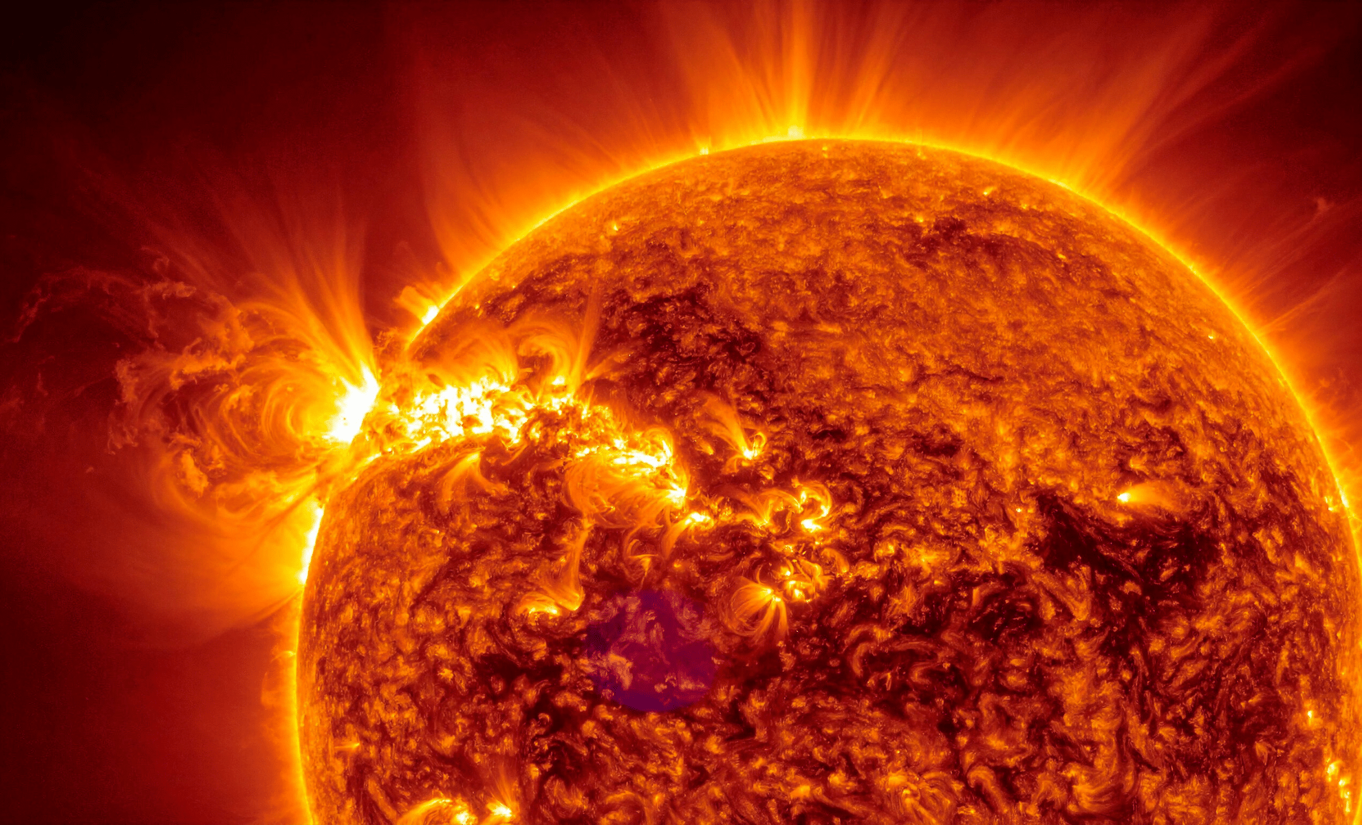 Solar Orbiter Uncovers New Insights Into the Dynamic Nature of Solar Flares 
