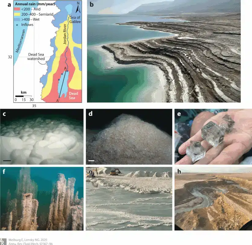 dead-sea-salt-giants-823x800.gif-974a3d4091e0be037f498dba308425a9.webp