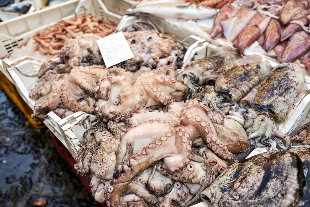 Fresh-octopus-at-Catania-market-1-a83dce46d56c2956b3a7c67b09f415f5.jpg