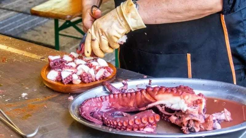 The-global-octopus-trade-is-estimated-at-over-2.65-billion-US-dollars-e1f4d40054a633e8fcd92313266d10fb.jpeg