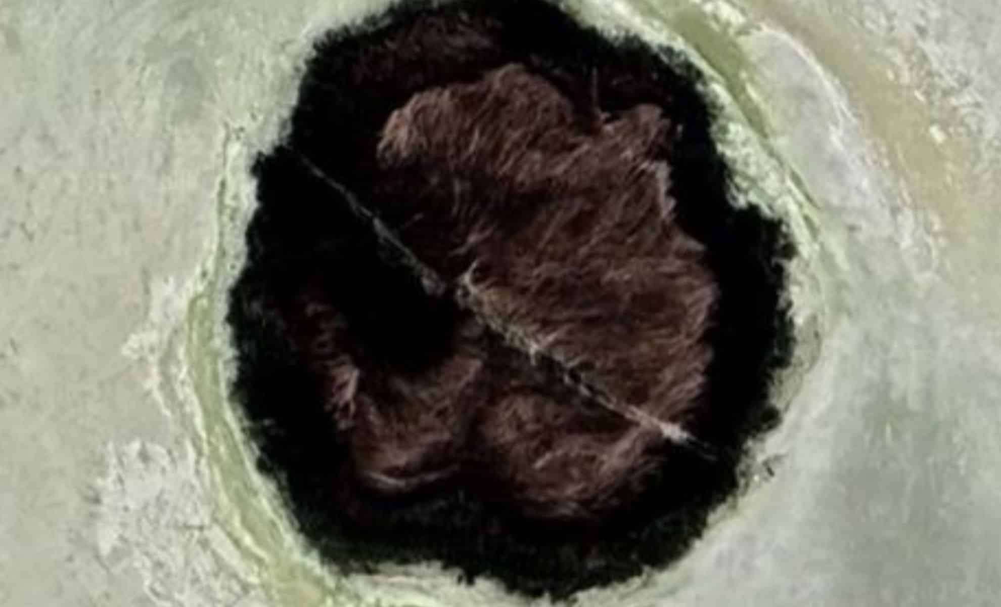 Mysterious ‘Living Islands’ in Utah’s Great Salt Lake Reveal Hidden Freshwater System 