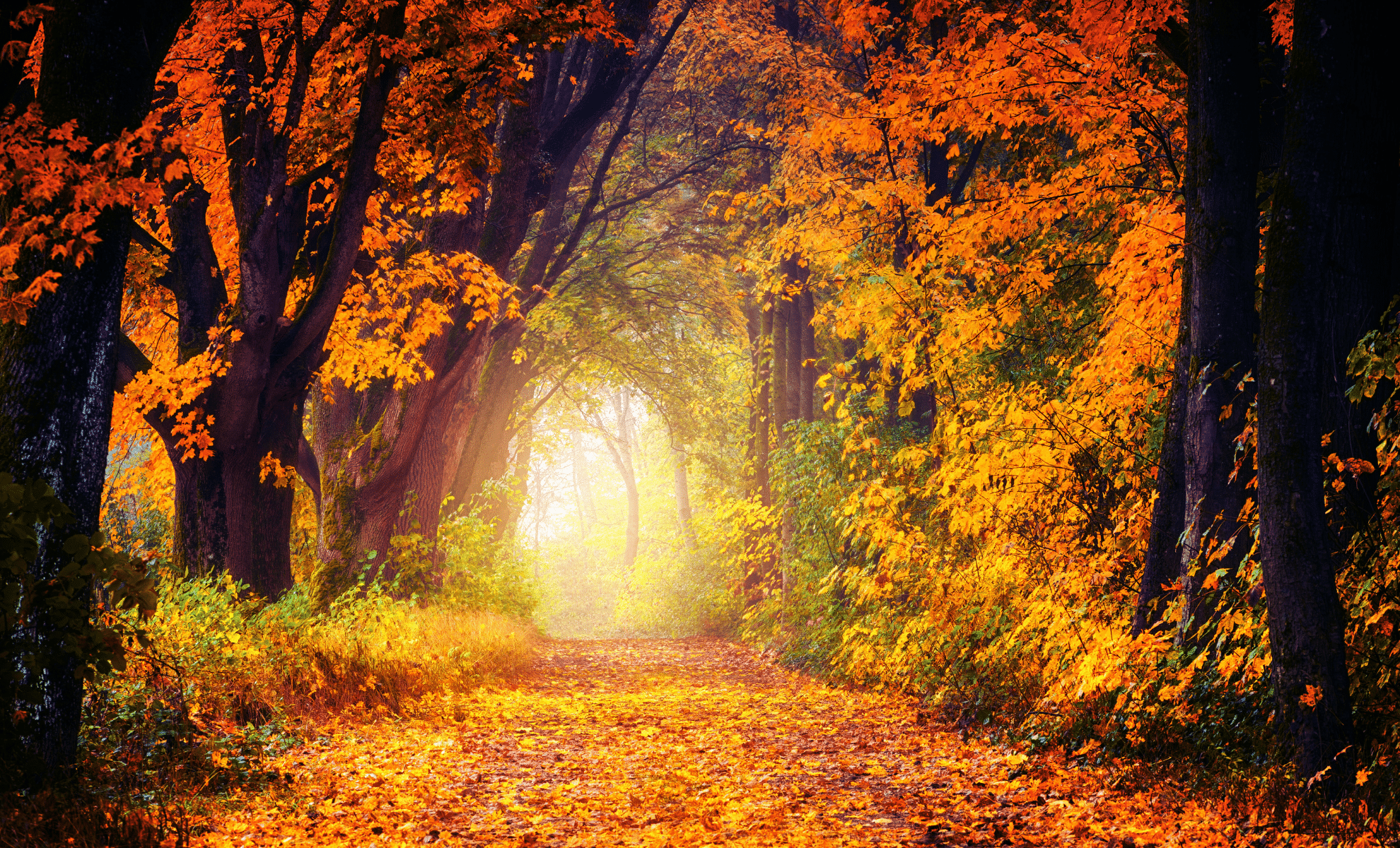 Everything You Should Know About the 2025 Autumnal Equinox 