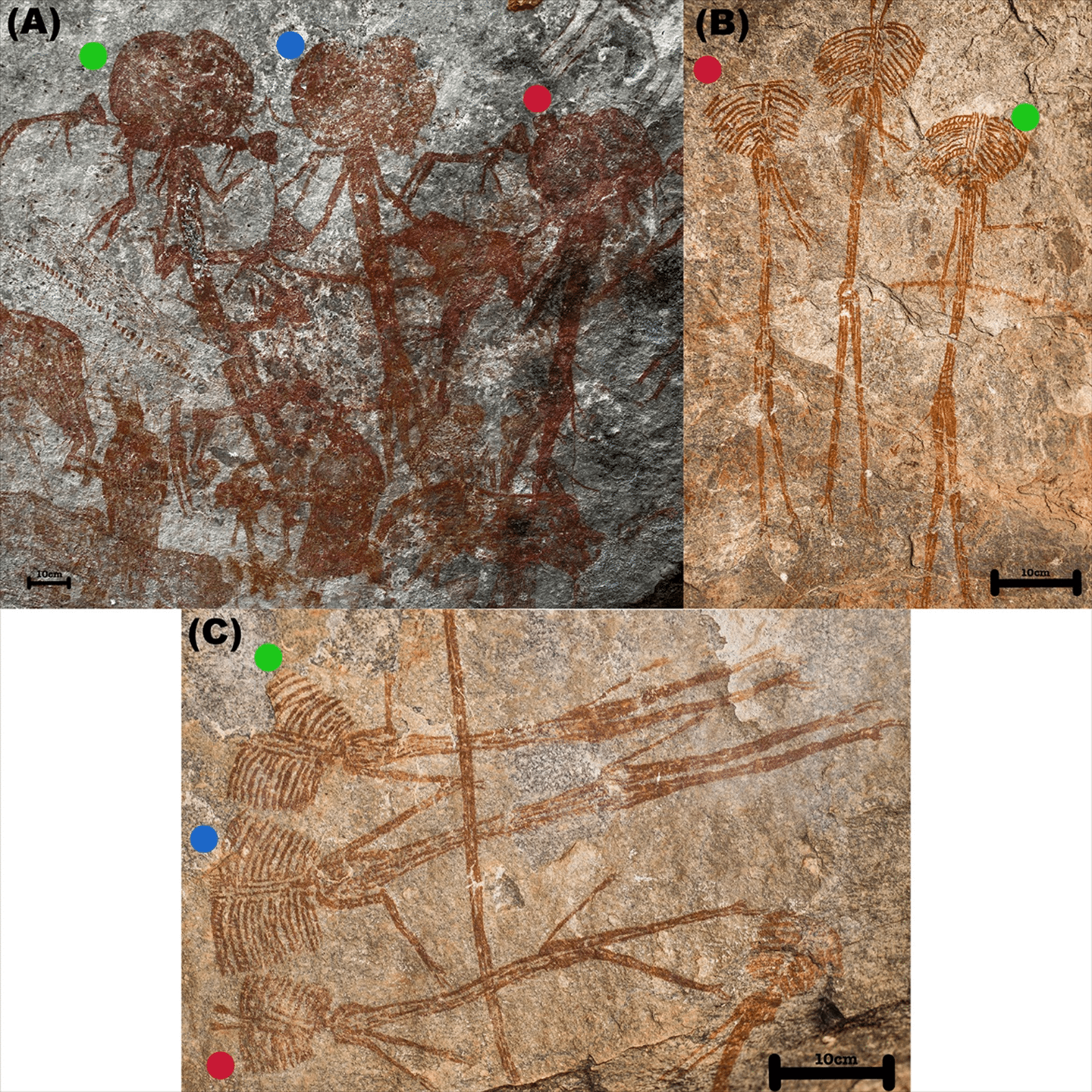 Comparison-of-the-Amakhee-4-b2eae7bf4824a71b815a7a1ff85b5a56.png